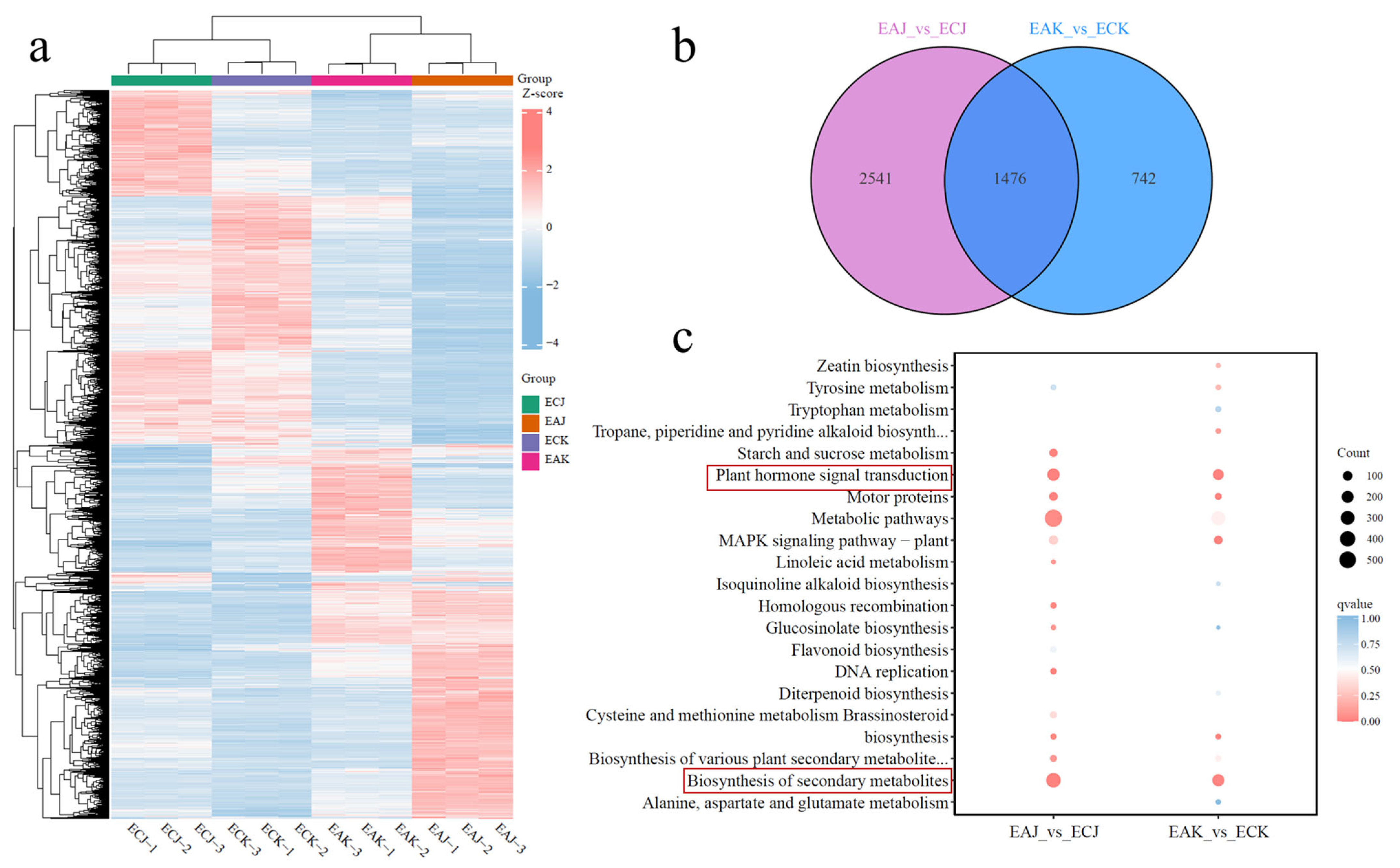 Foods 14 03705 g004 Foods 14 03705 g004