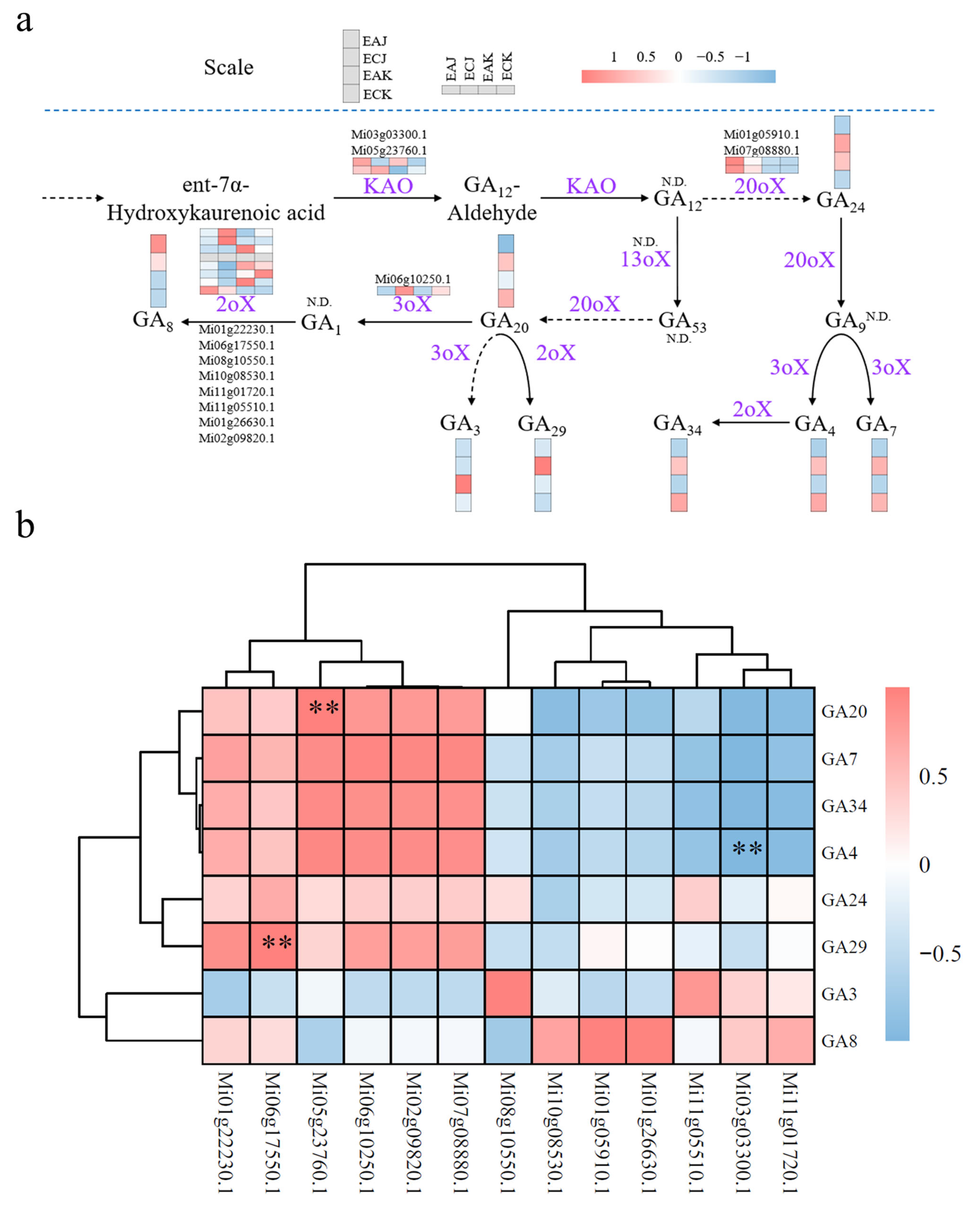 Foods 14 03705 g005 Foods 14 03705 g005