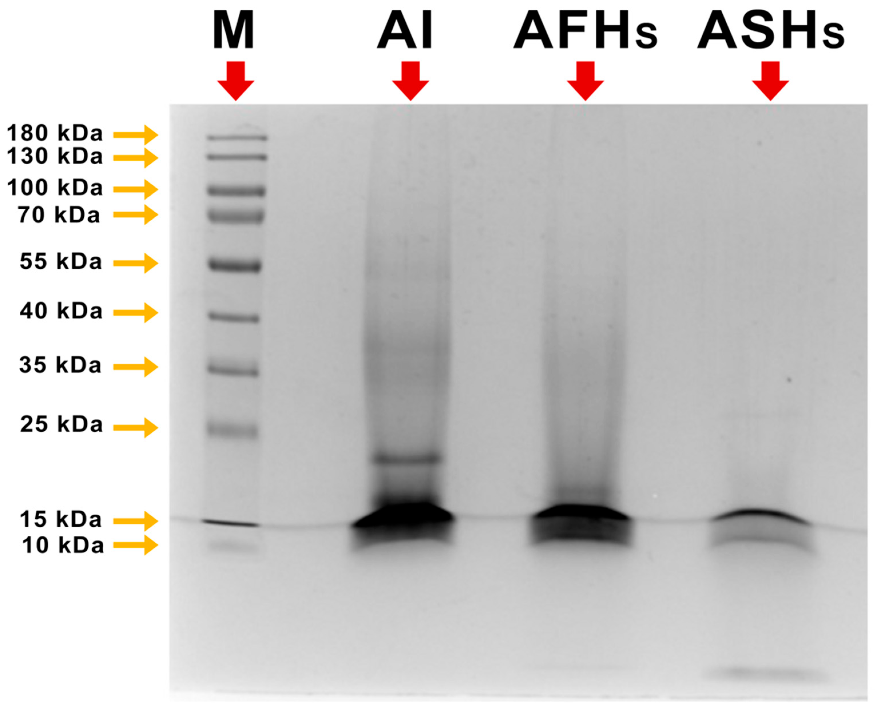 Foods 14 03709 g002 Foods 14 03709 g002