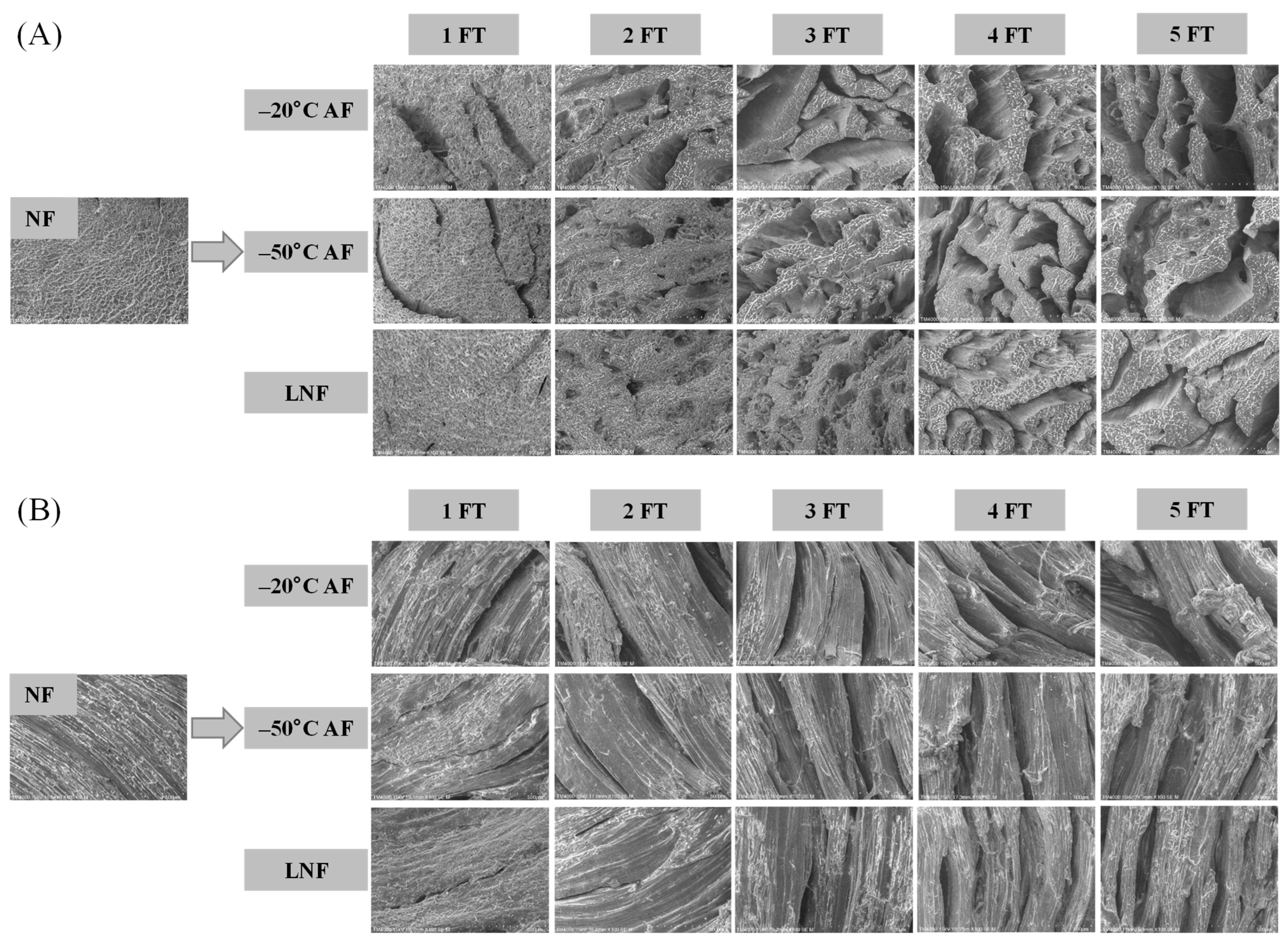 Foods 14 03712 g003 Foods 14 03712 g003