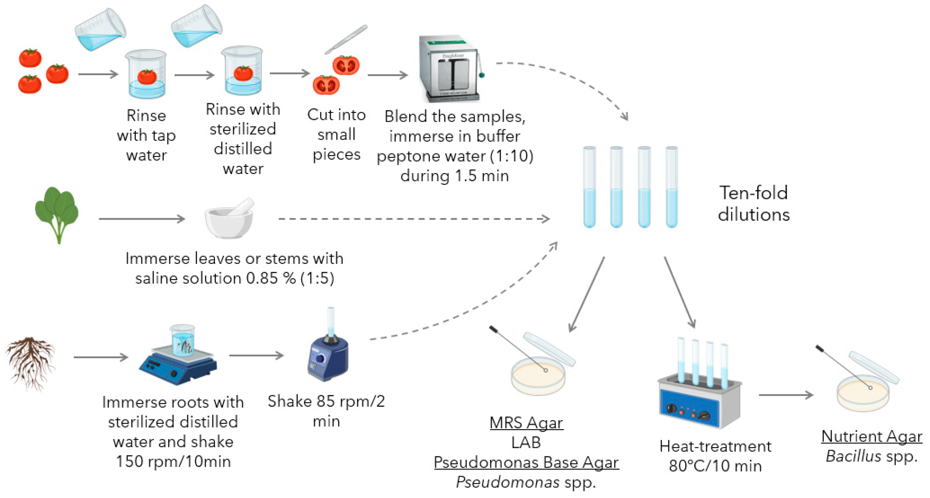 Foods 14 03713 g001 Foods 14 03713 g001