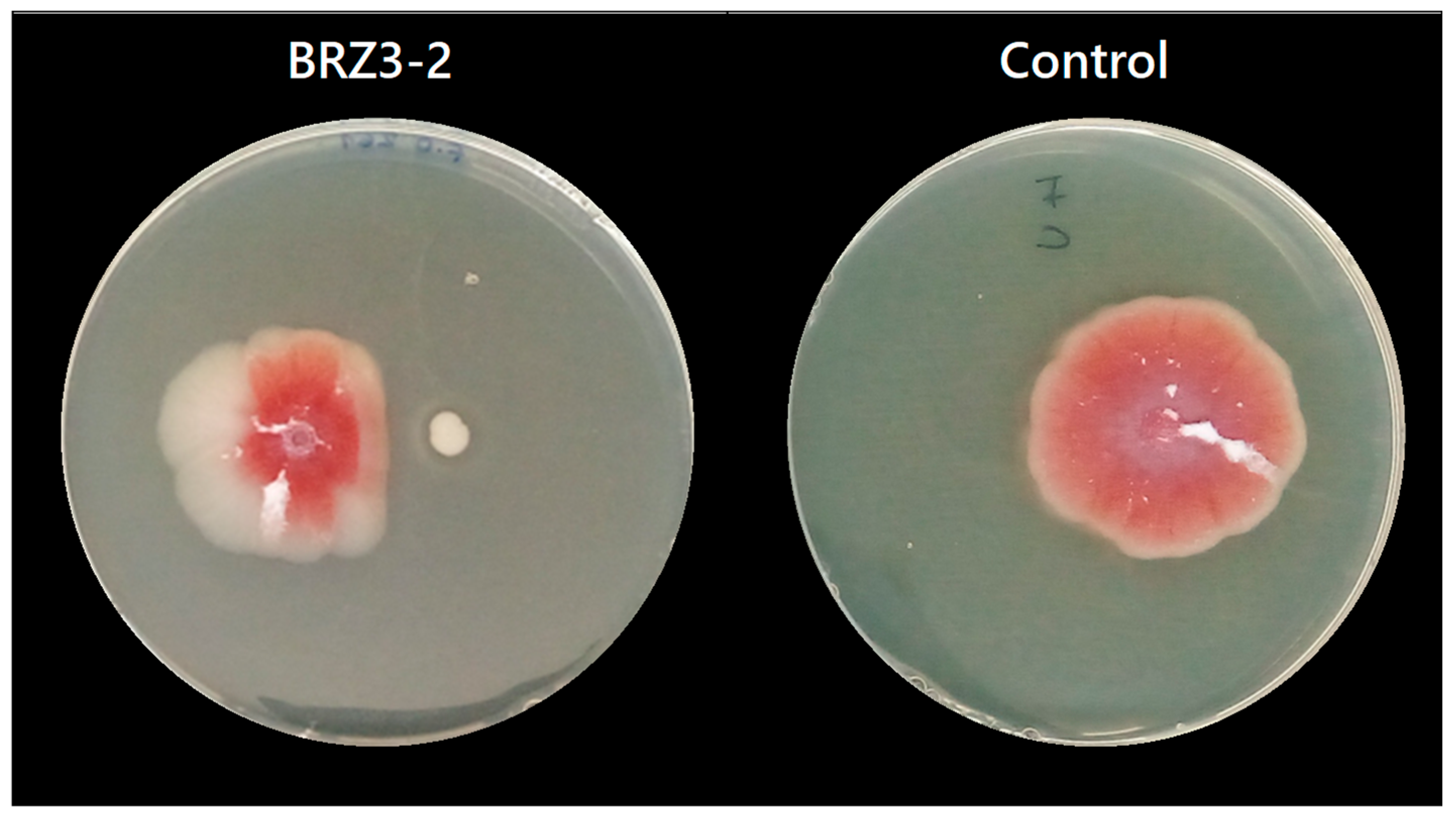 Foods 14 03713 g002 Foods 14 03713 g002