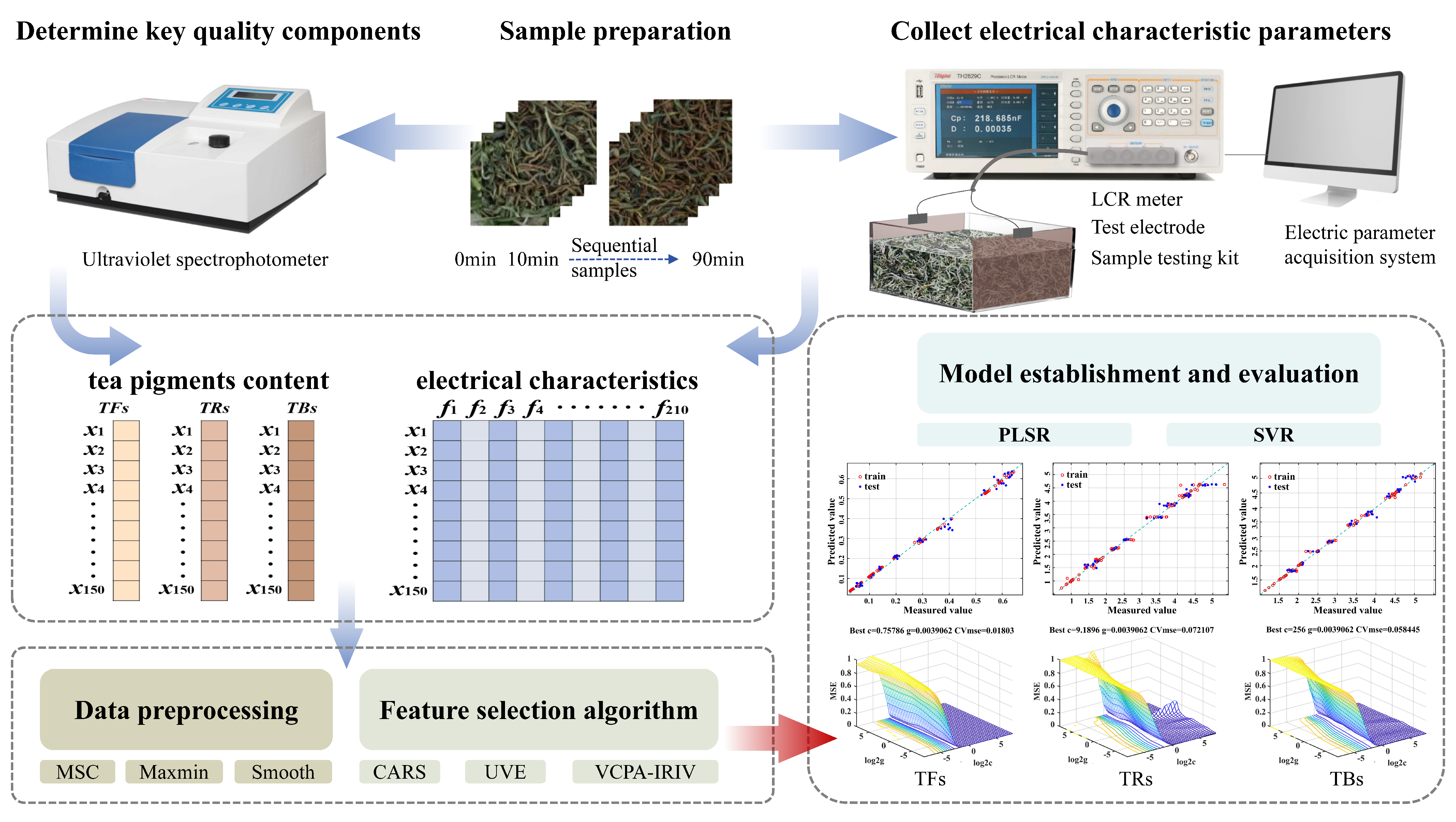 Foods 14 03723 g001 Foods 14 03723 g001