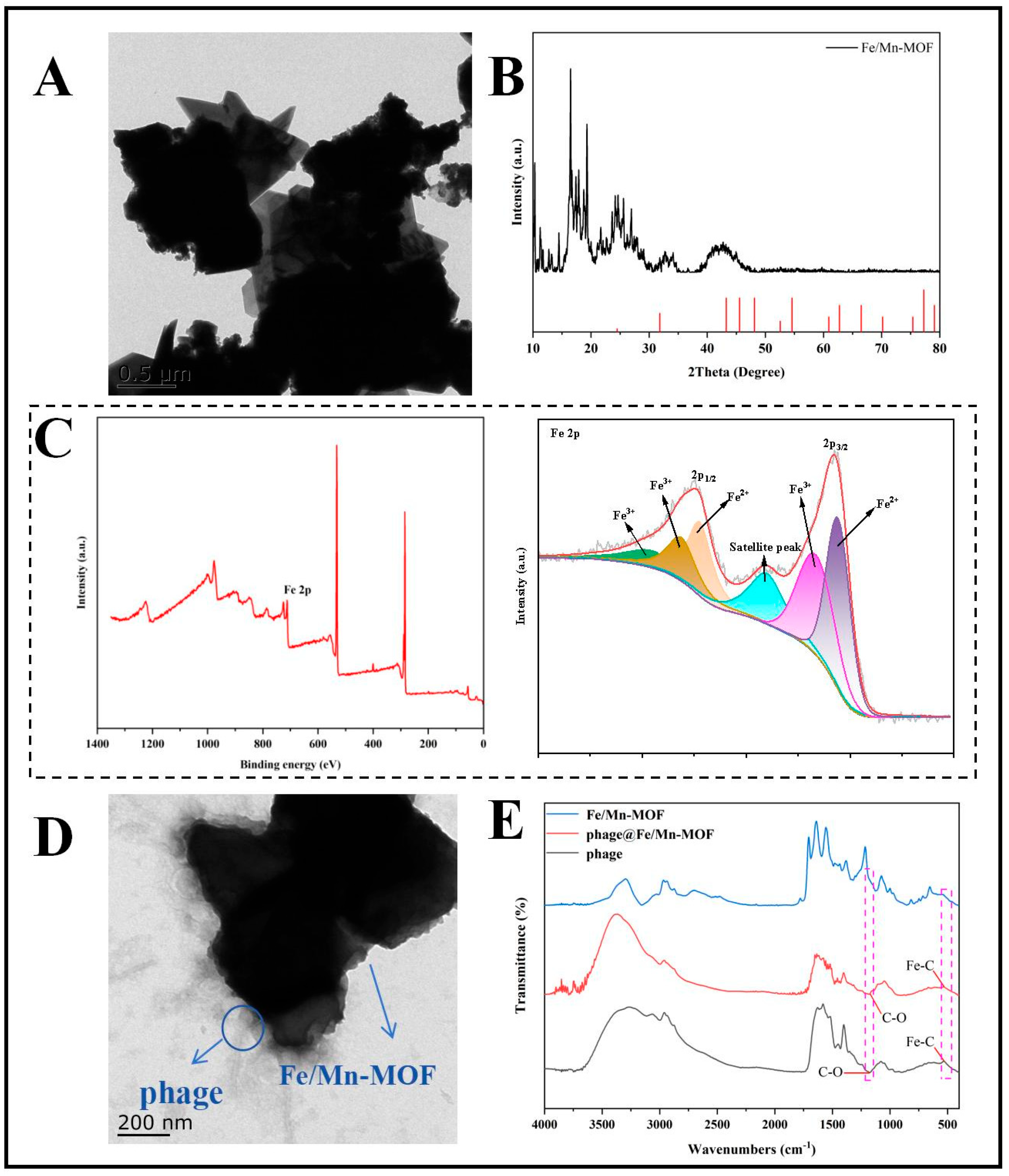 Foods 14 03726 g002 Foods 14 03726 g002