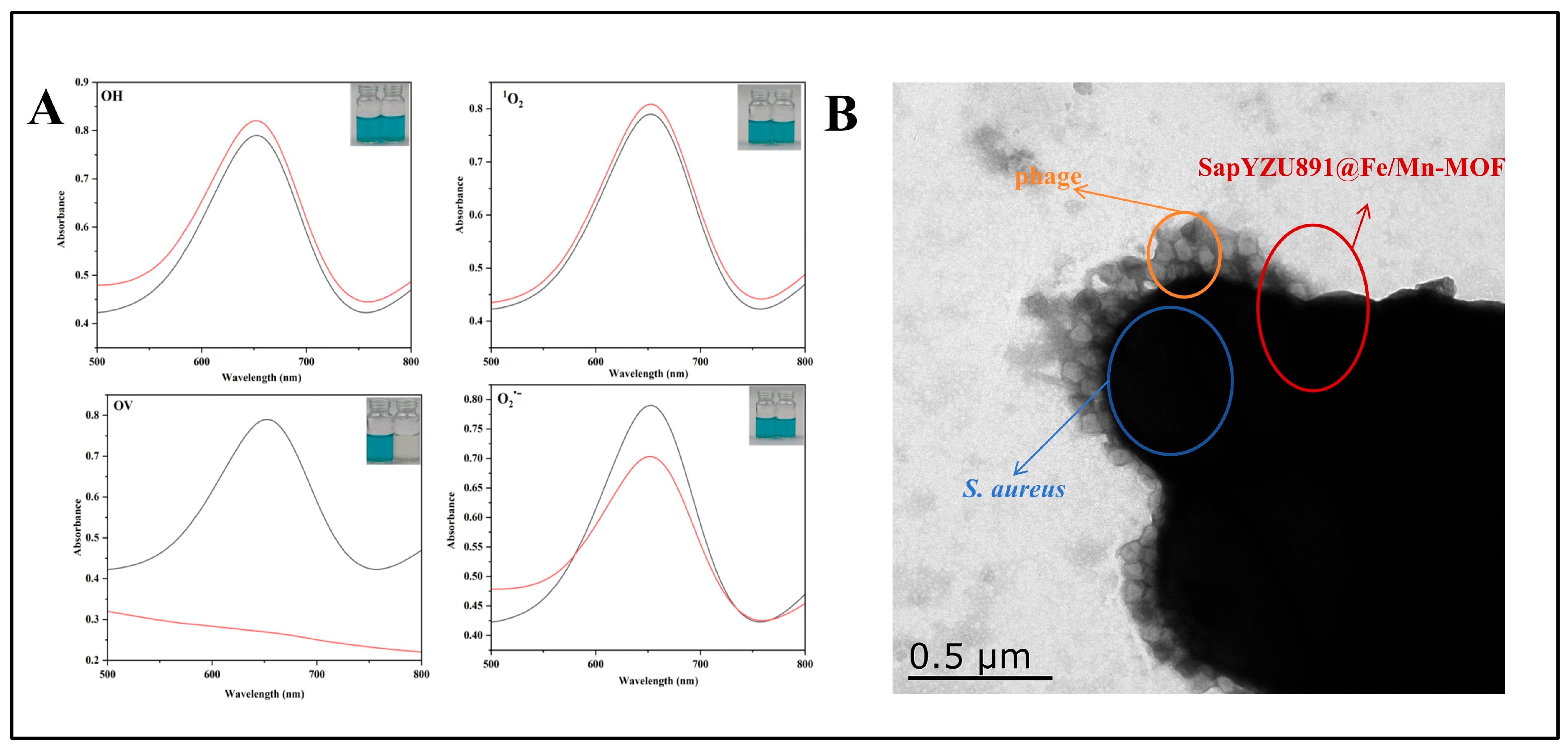Foods 14 03726 g005 Foods 14 03726 g005