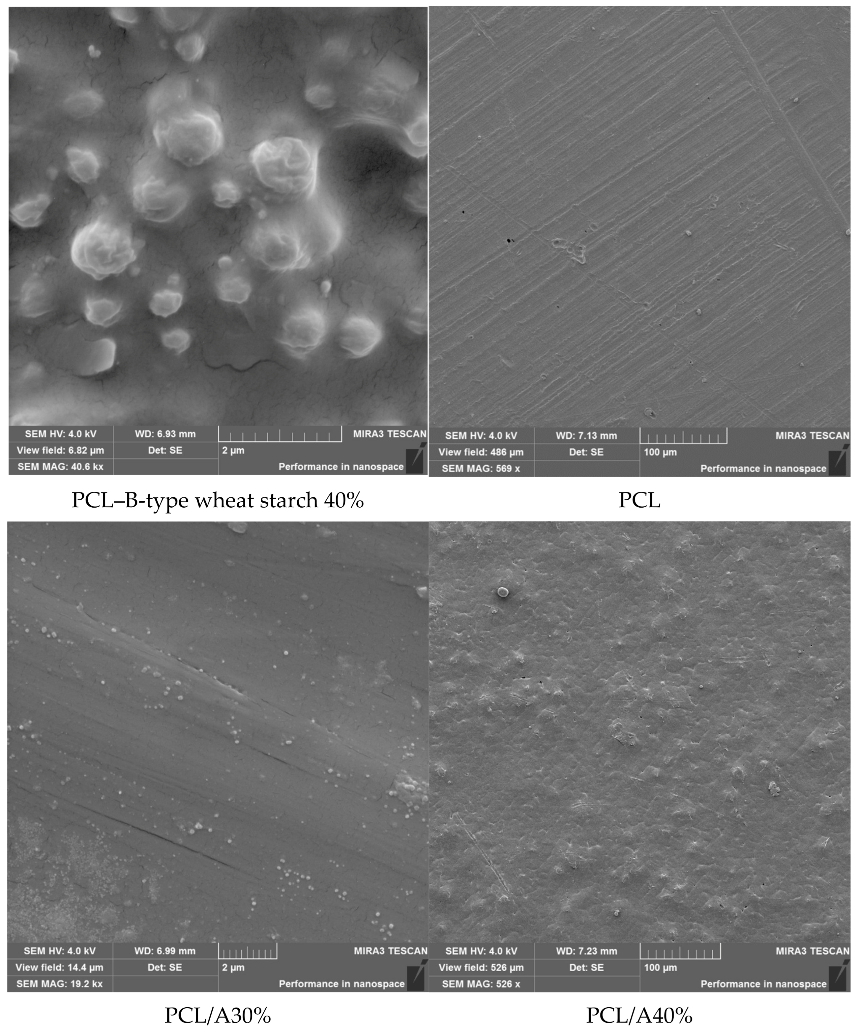 Foods 14 03730 g001a Foods 14 03730 g001a