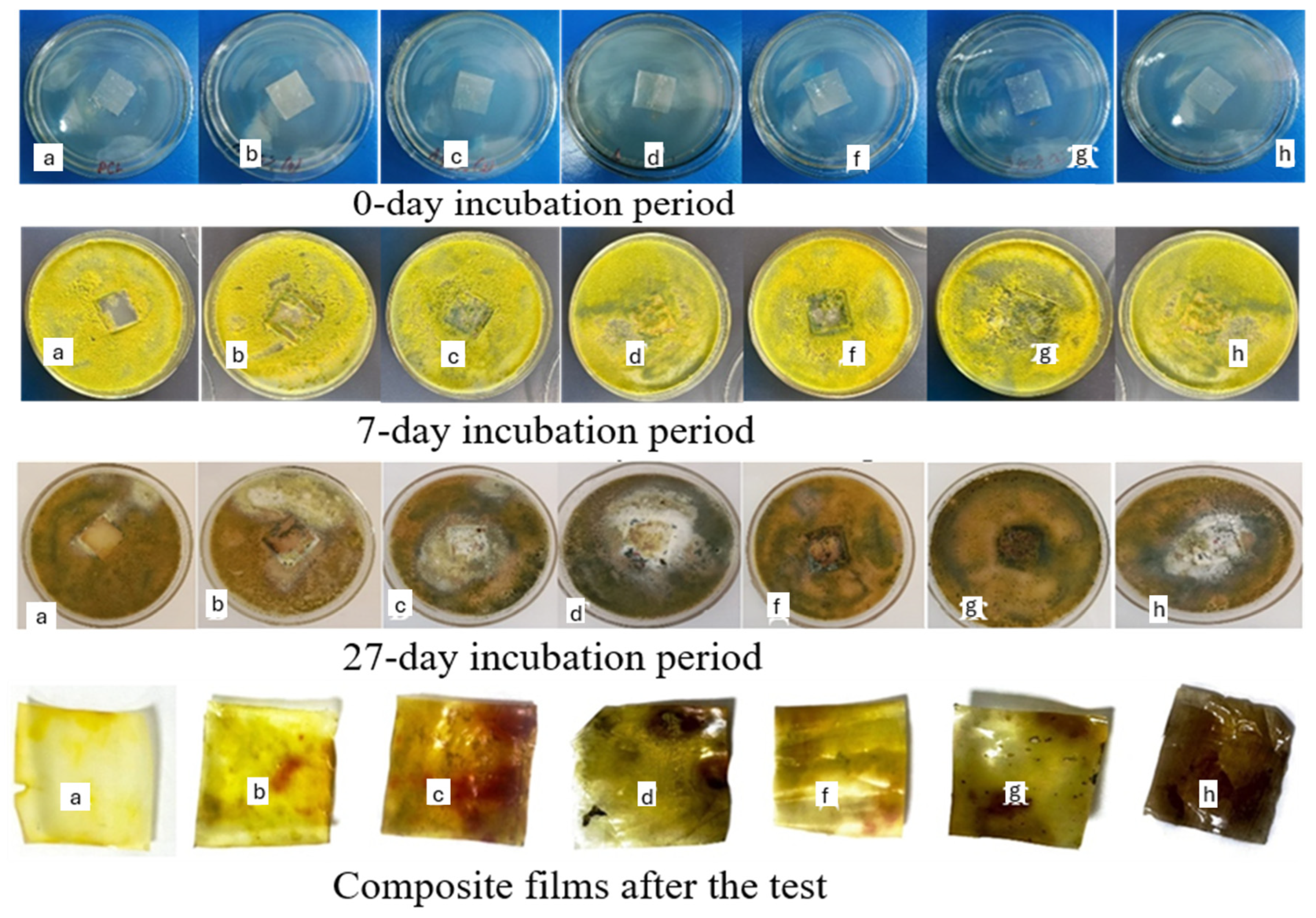 Foods 14 03730 g003 Foods 14 03730 g003