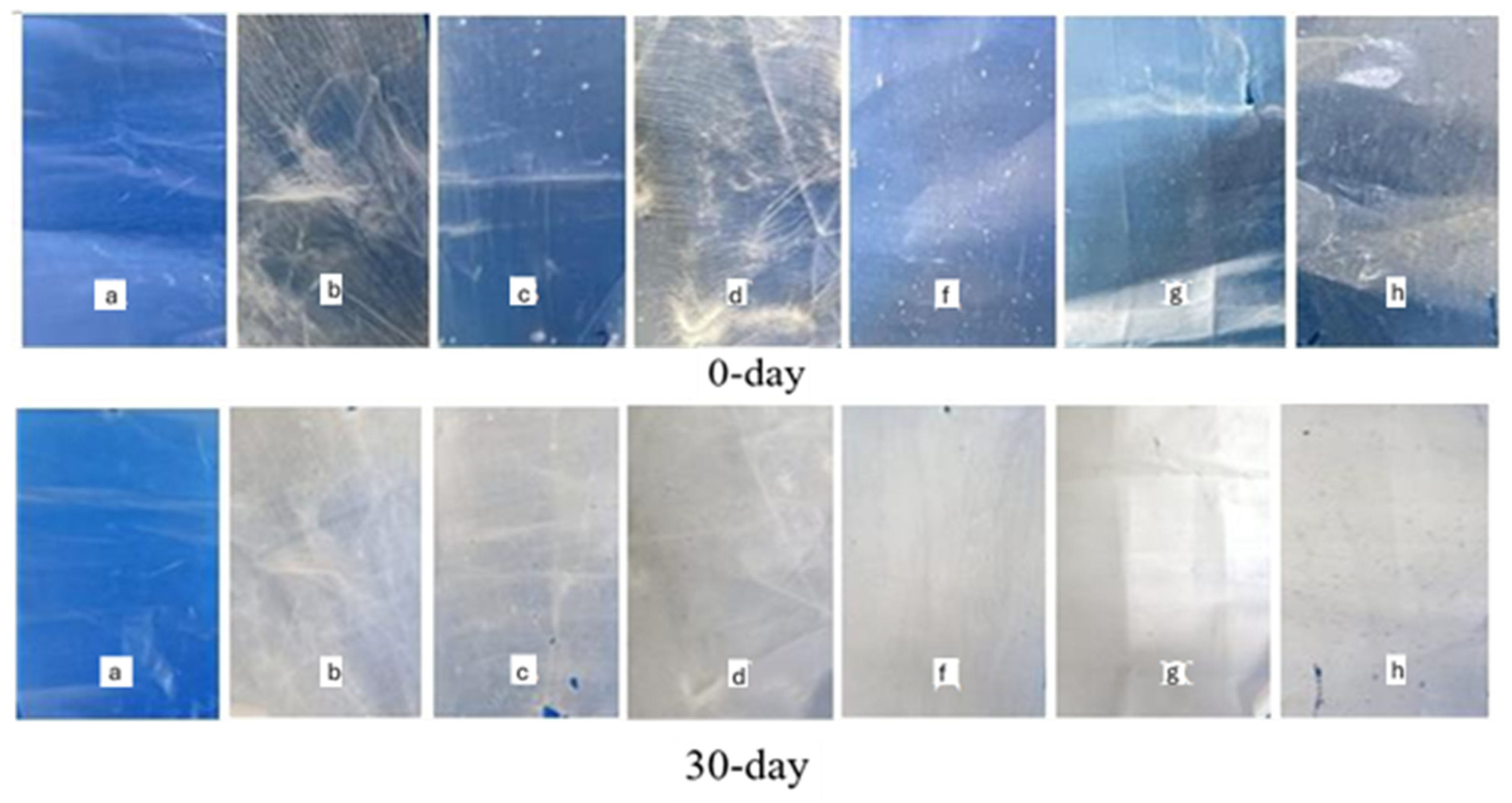 Foods 14 03730 g004 Foods 14 03730 g004