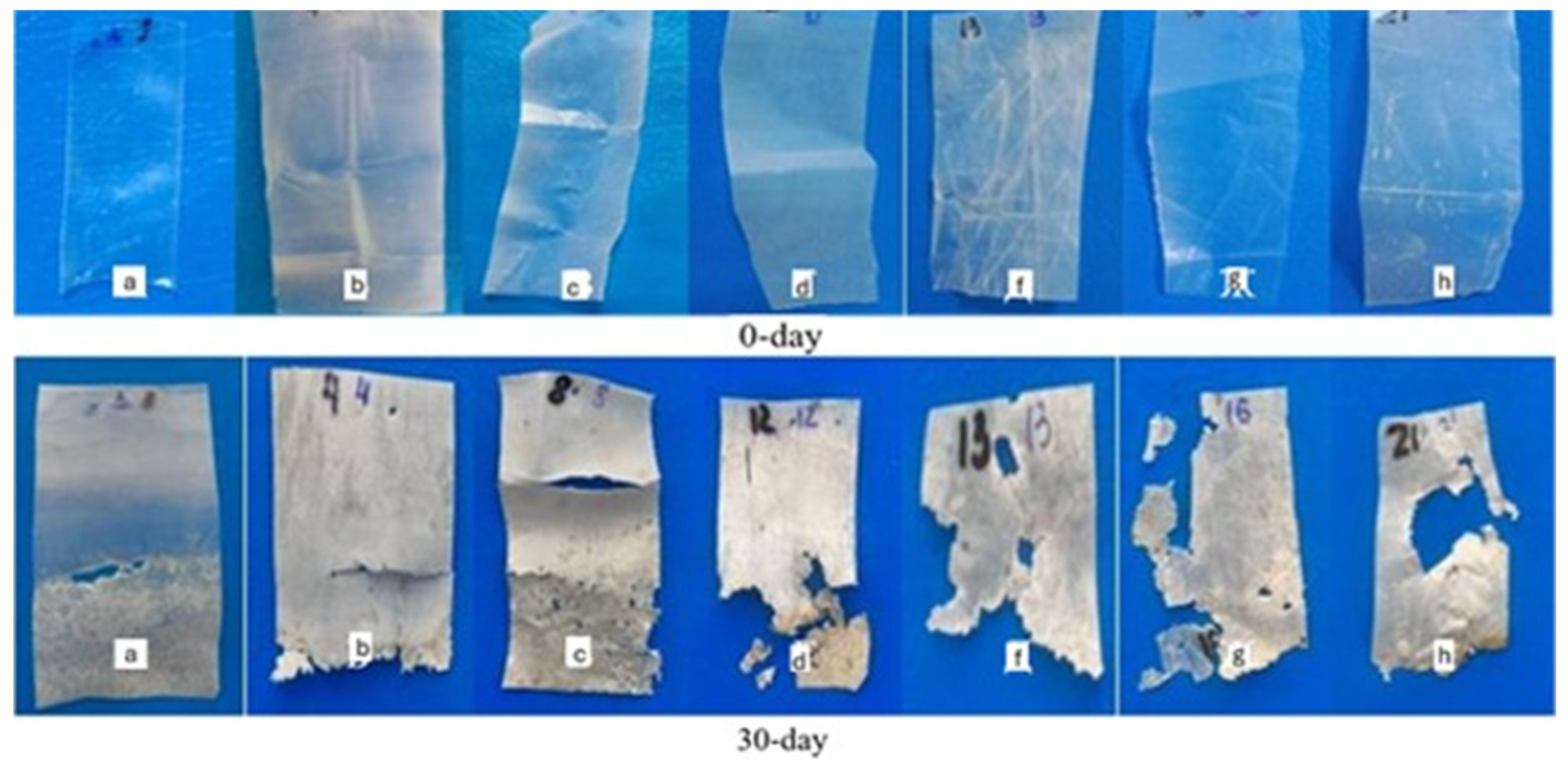 Foods 14 03730 g005 Foods 14 03730 g005