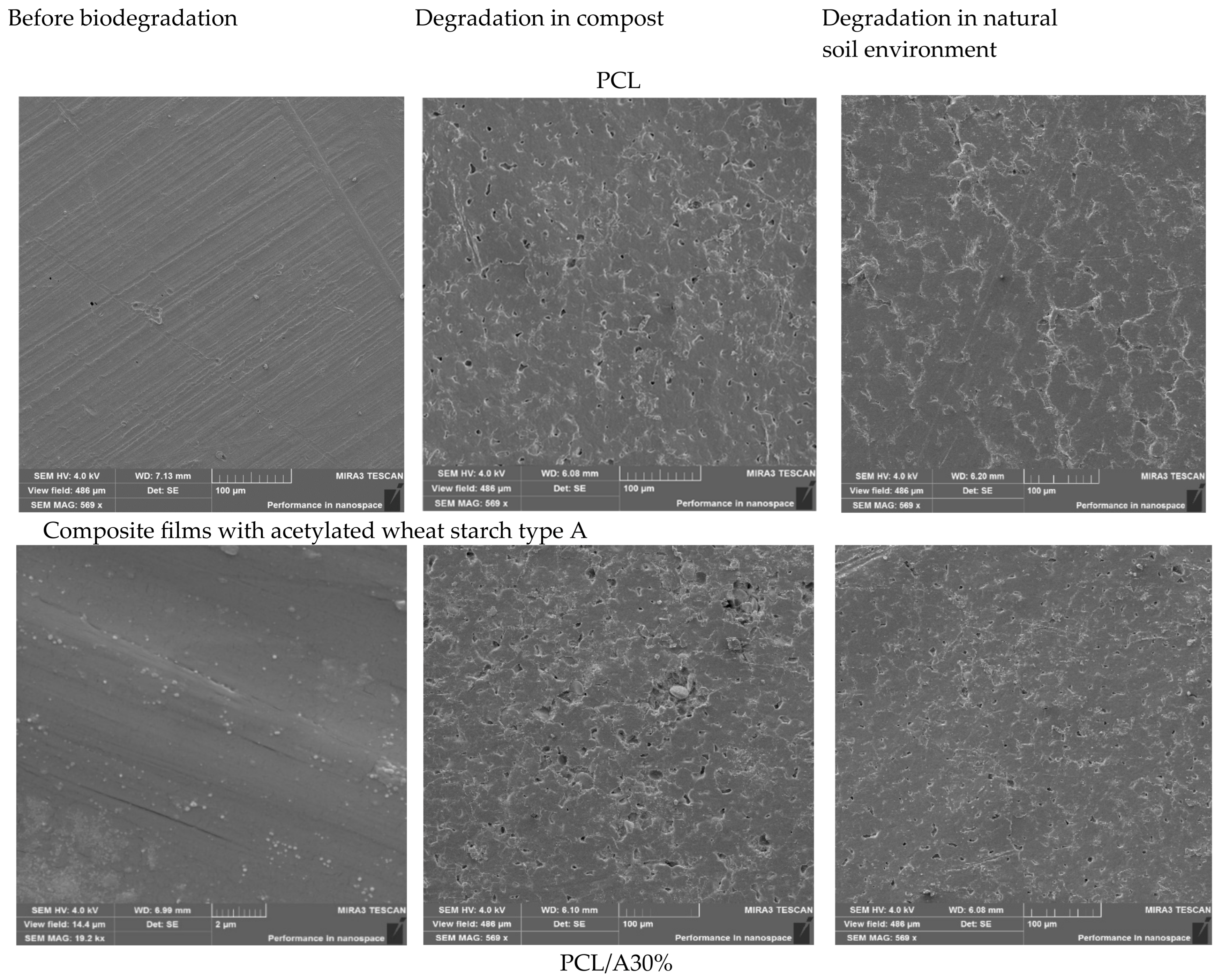 Foods 14 03730 g006a Foods 14 03730 g006a