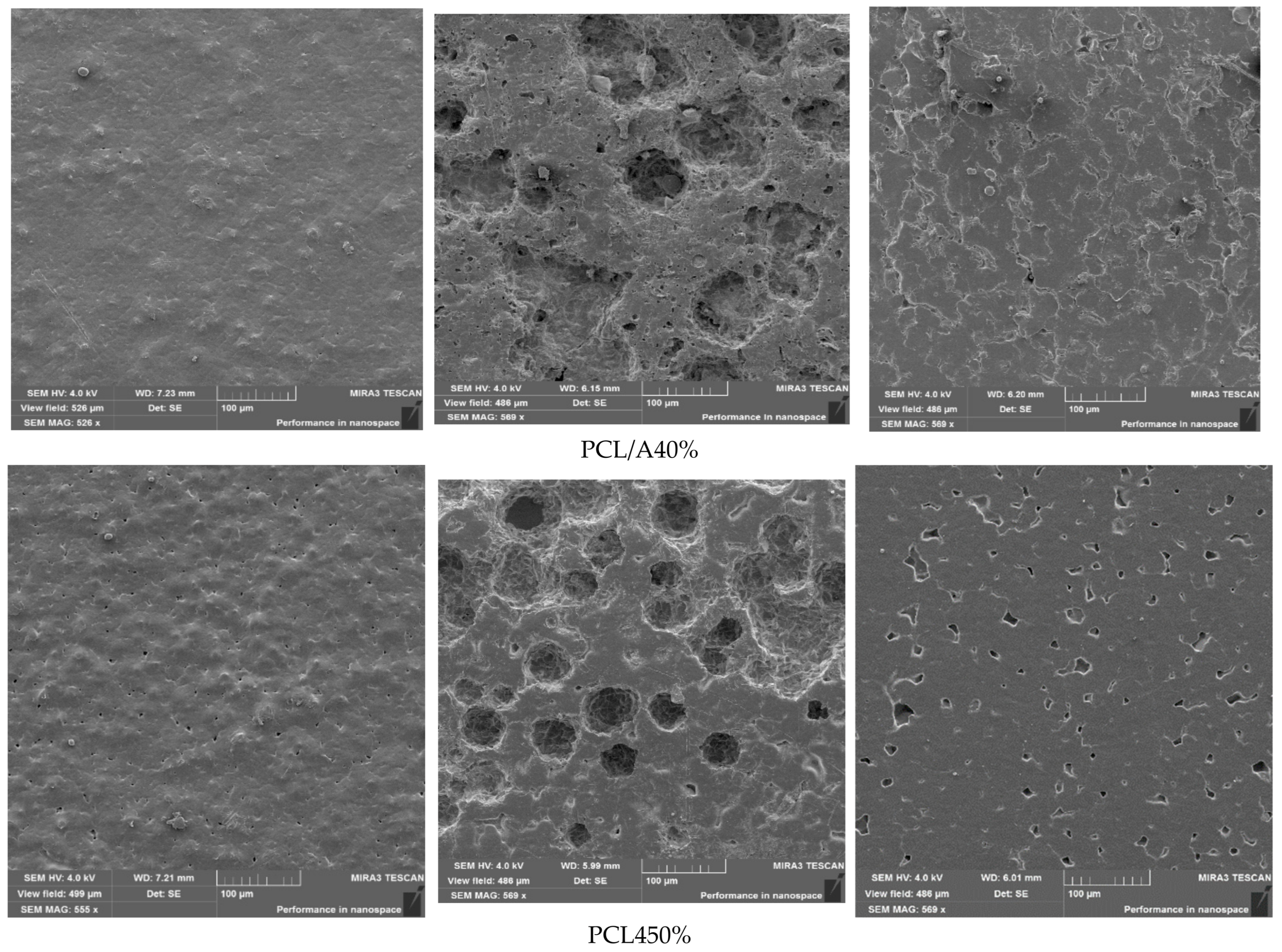 Foods 14 03730 g006b Foods 14 03730 g006b