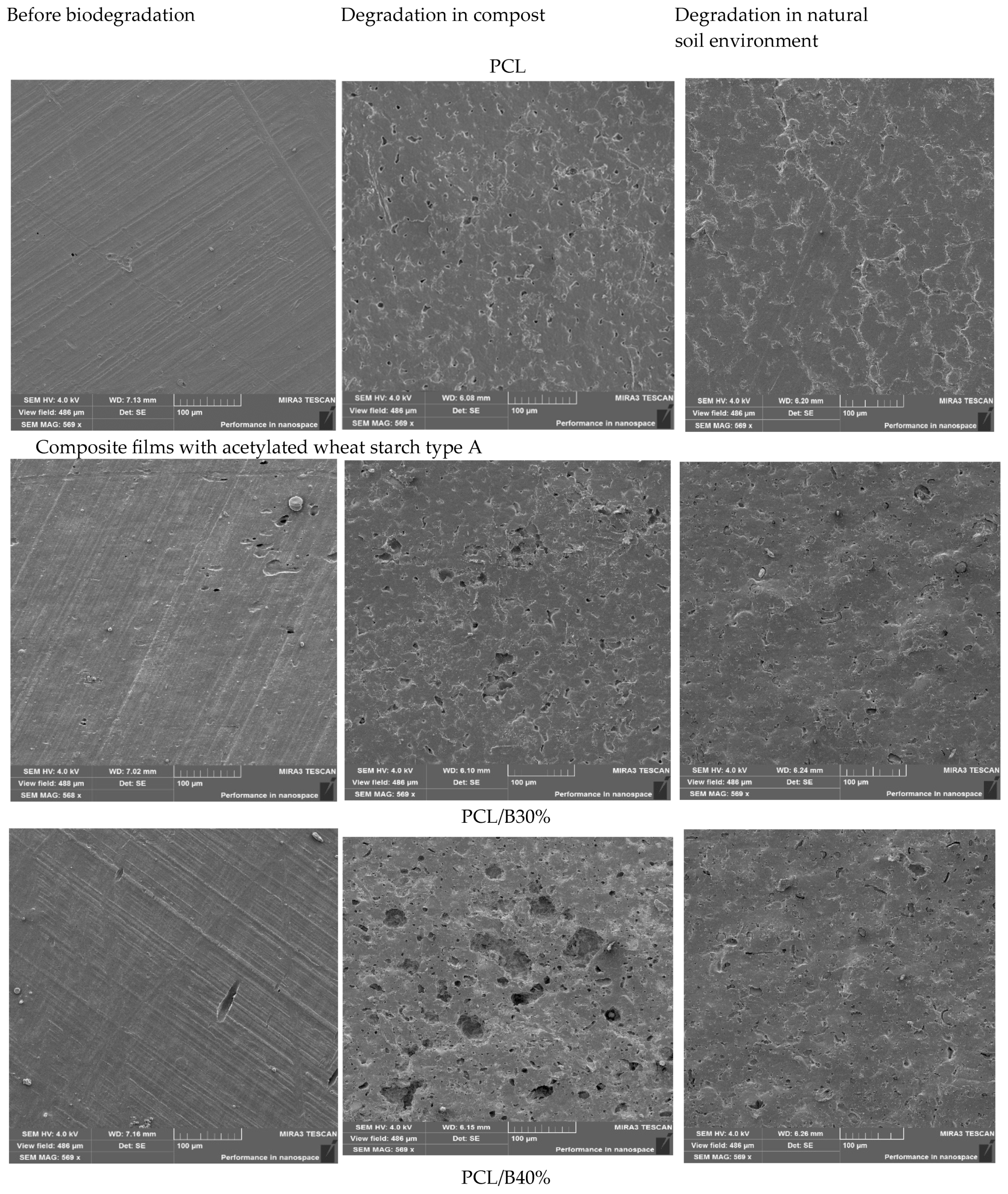 Foods 14 03730 g007a Foods 14 03730 g007a