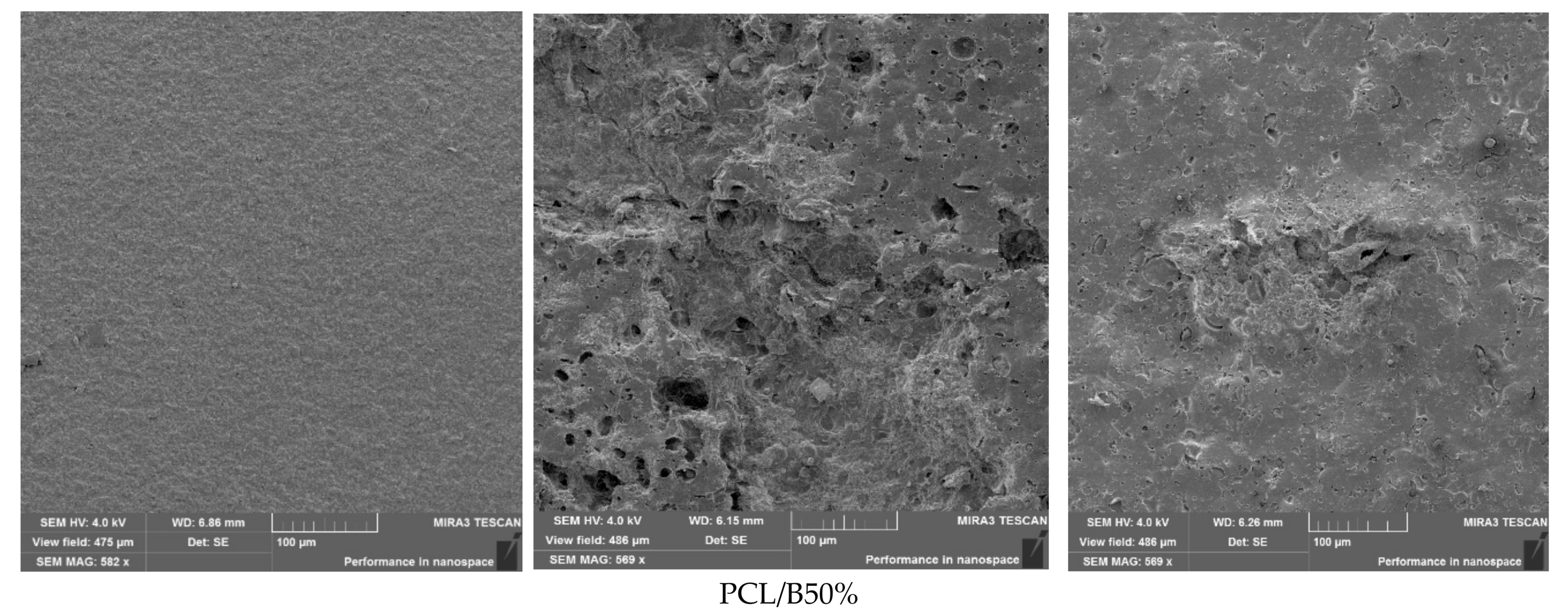 Foods 14 03730 g007b Foods 14 03730 g007b