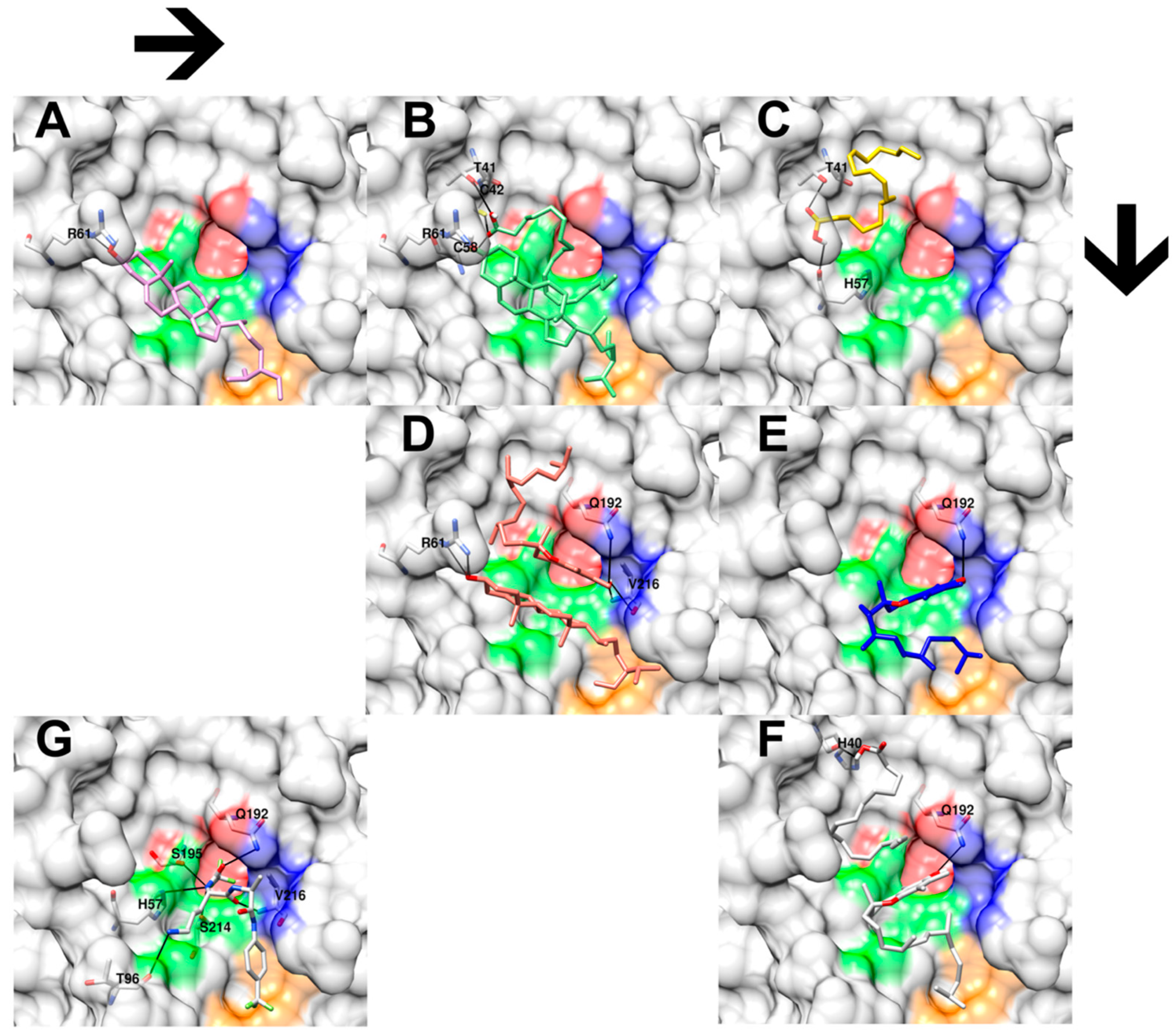 Foods 14 03739 g004 Foods 14 03739 g004