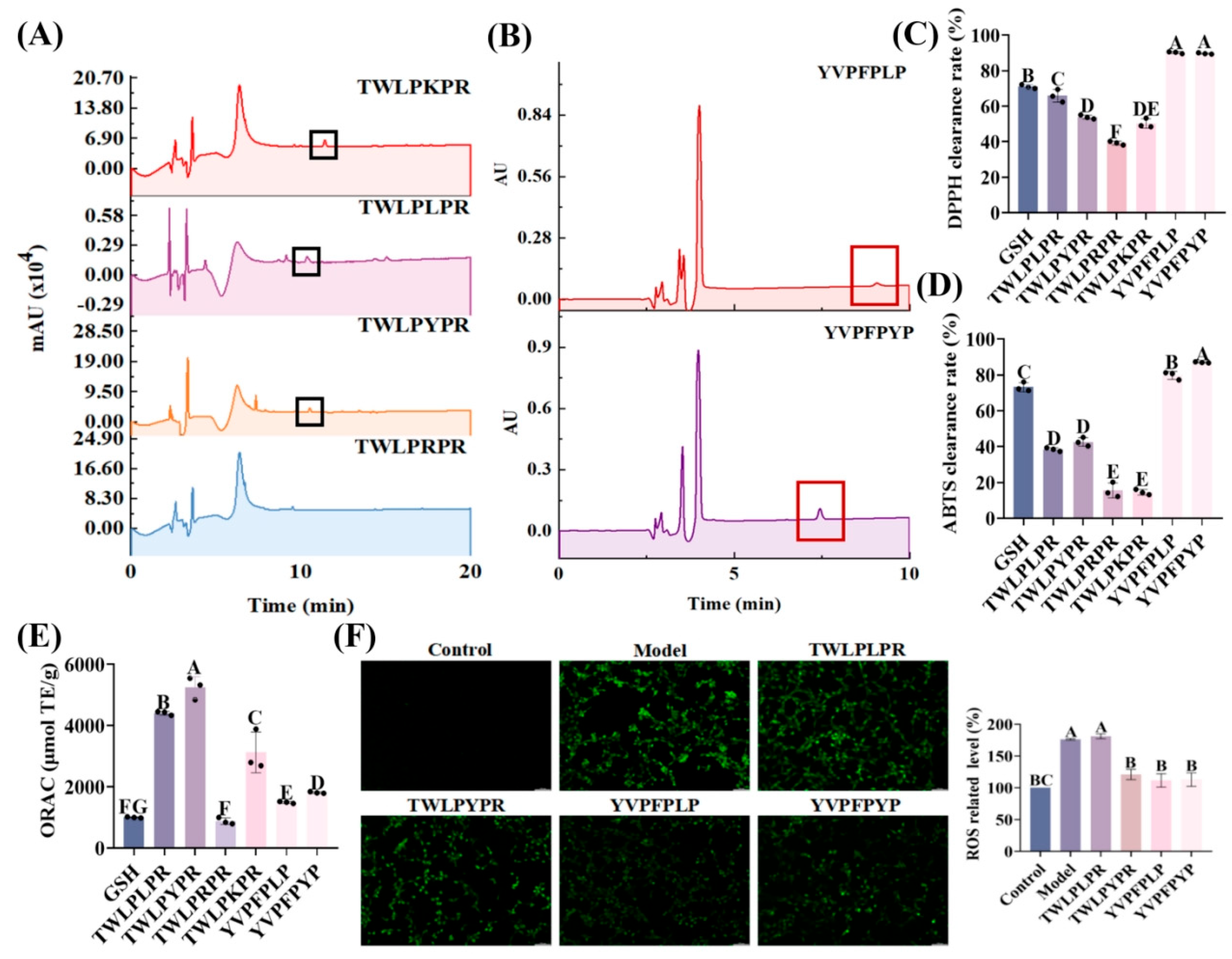 Foods 14 03744 g006 Foods 14 03744 g006