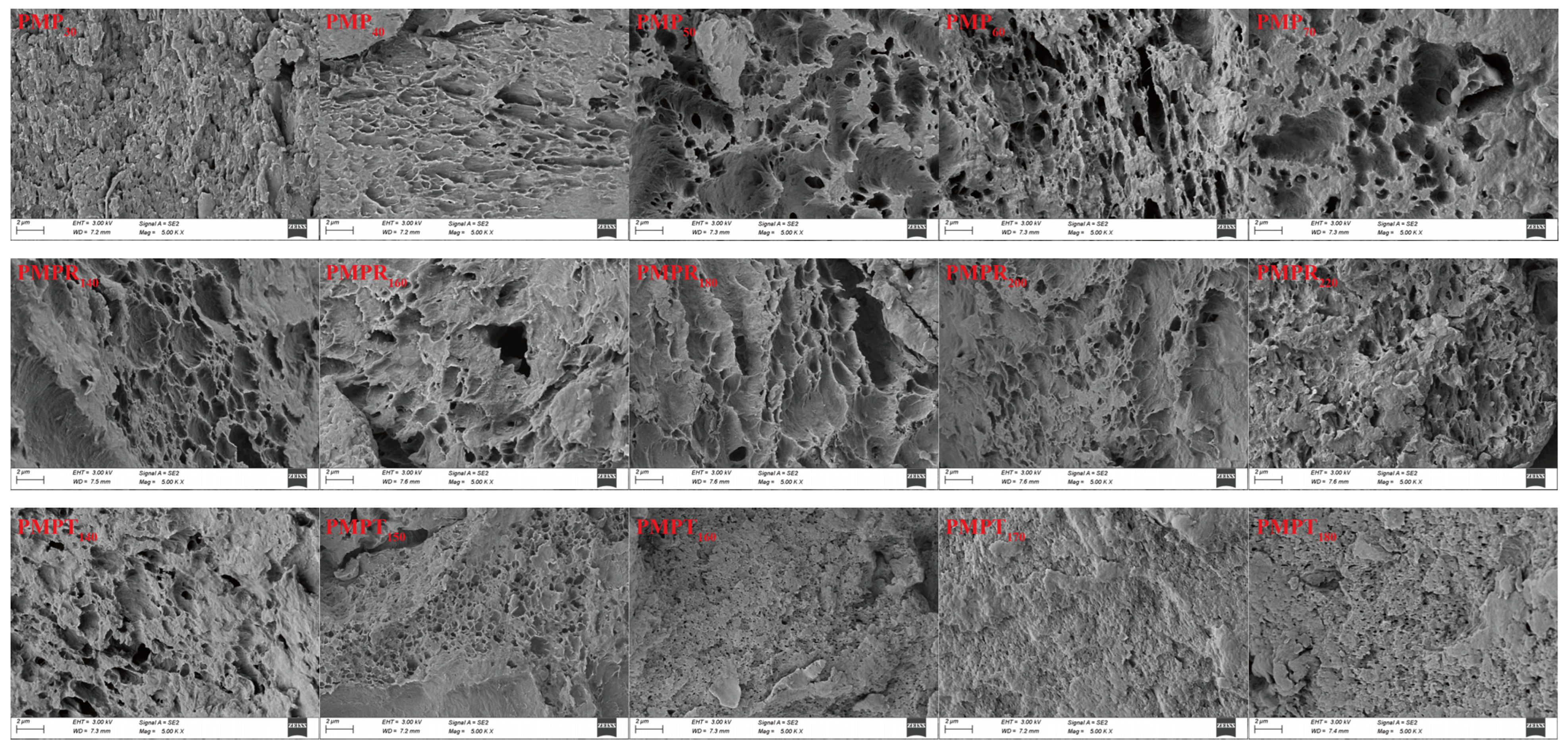 Foods 14 03750 g003 Foods 14 03750 g003