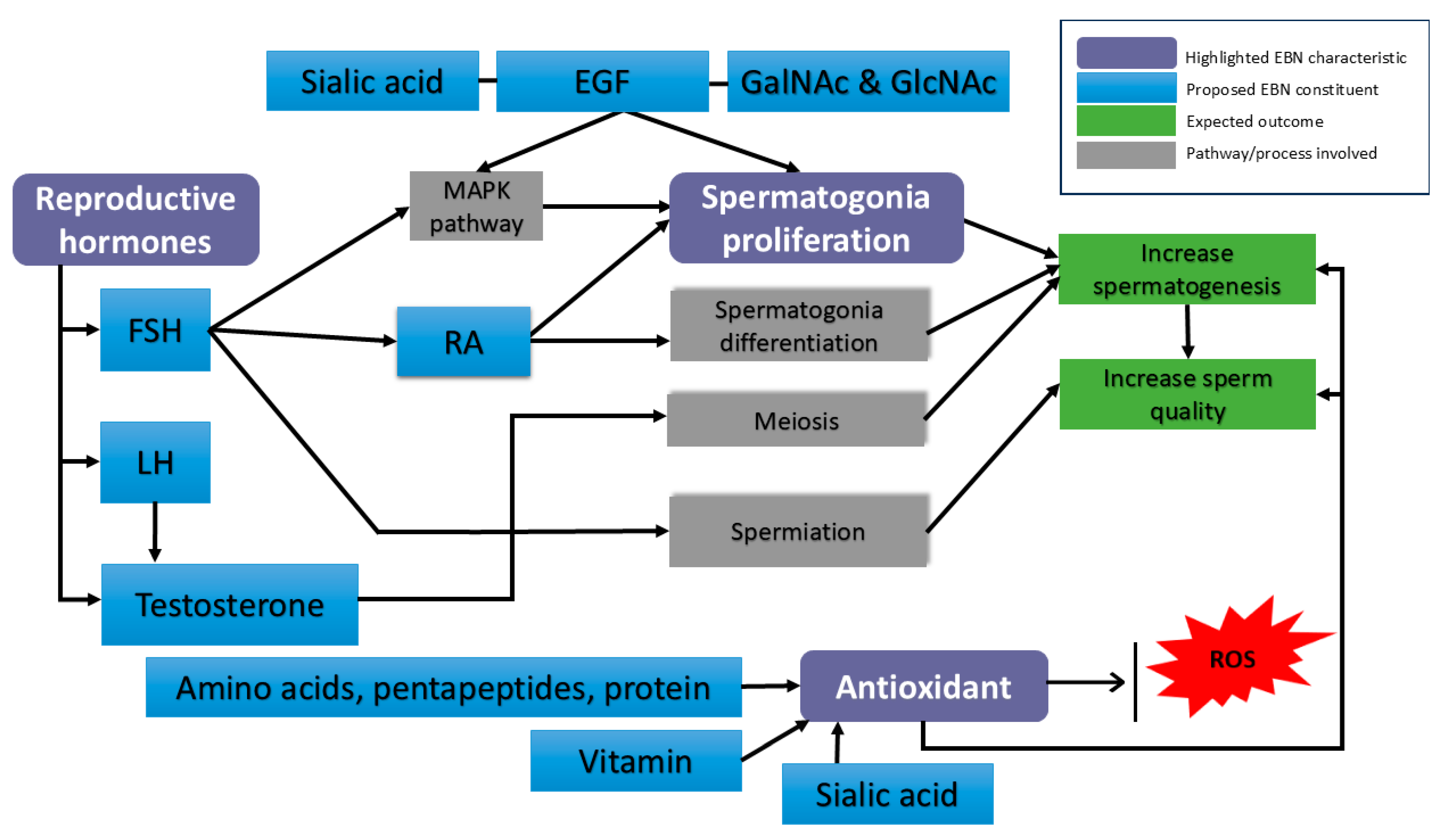 Foods 14 03759 g002 Foods 14 03759 g002