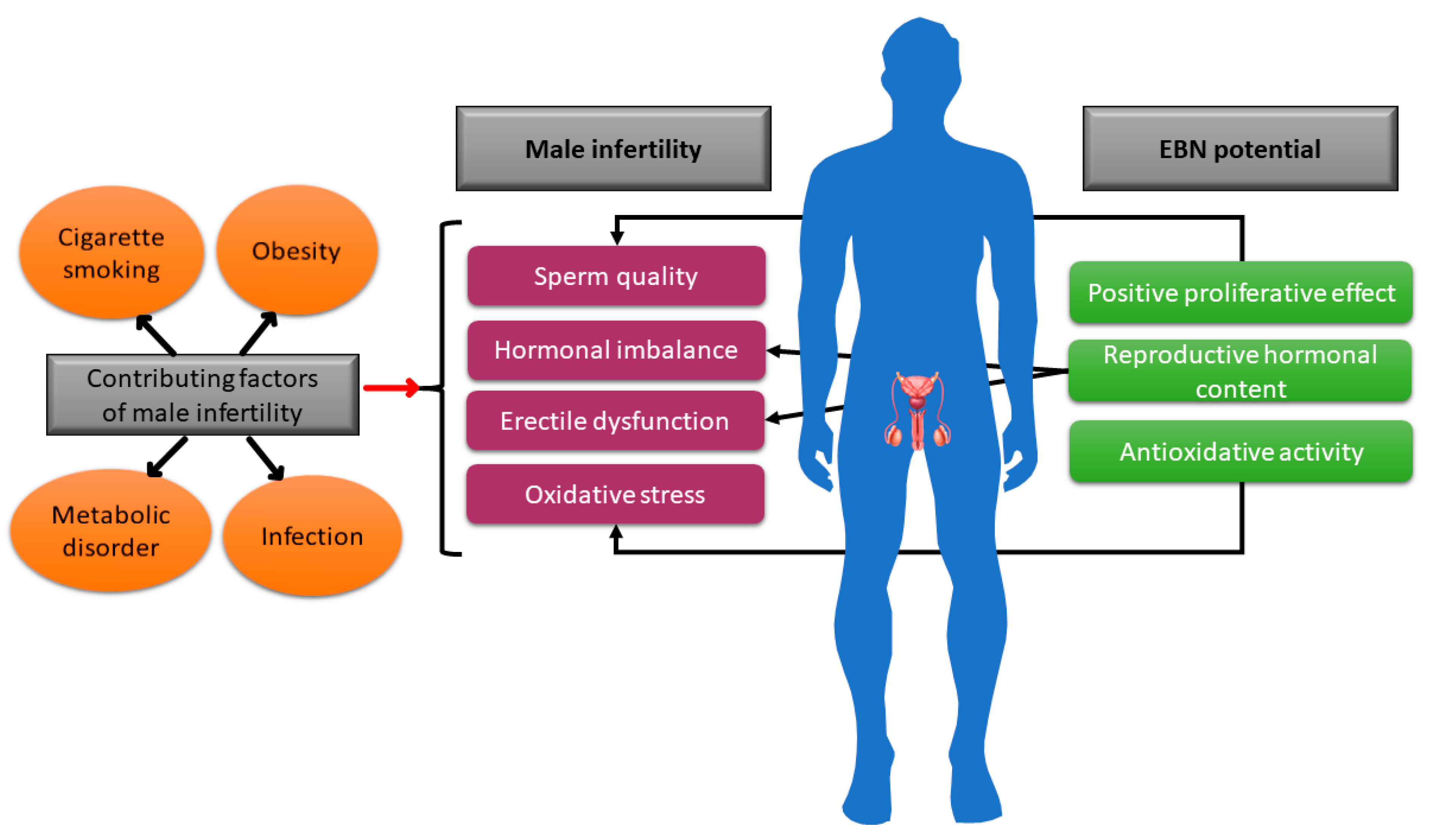 Foods 14 03759 g003 Foods 14 03759 g003