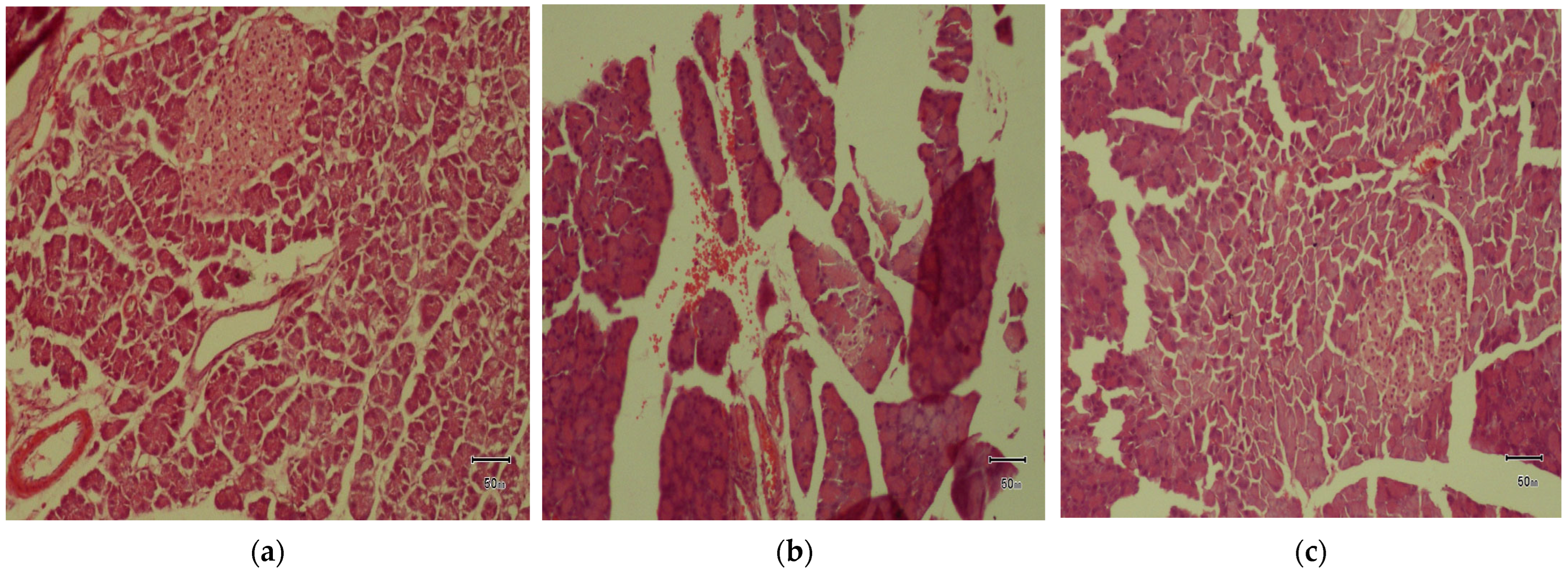 Foods 14 03764 g005a