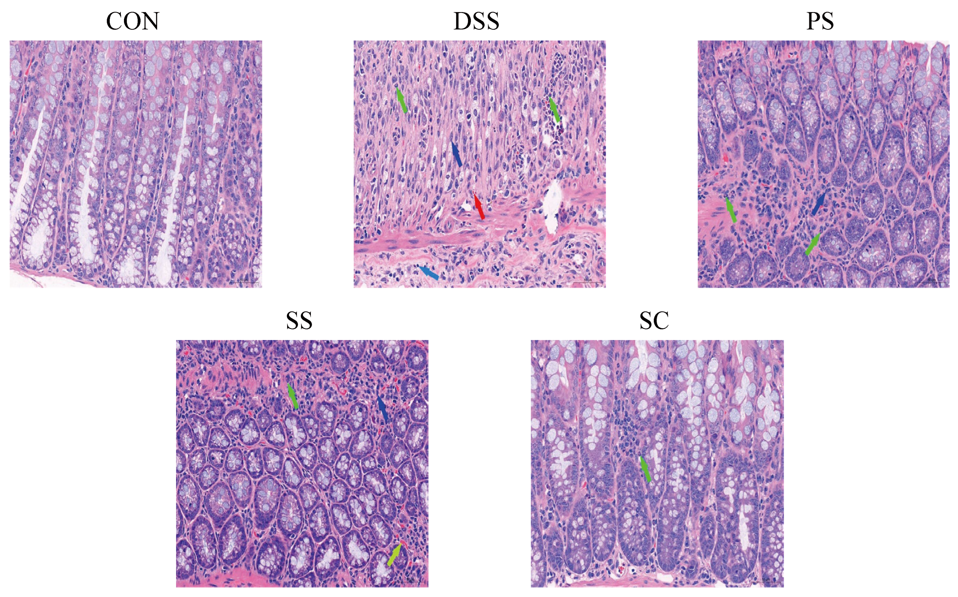 Foods 14 03791 g002 Foods 14 03791 g002