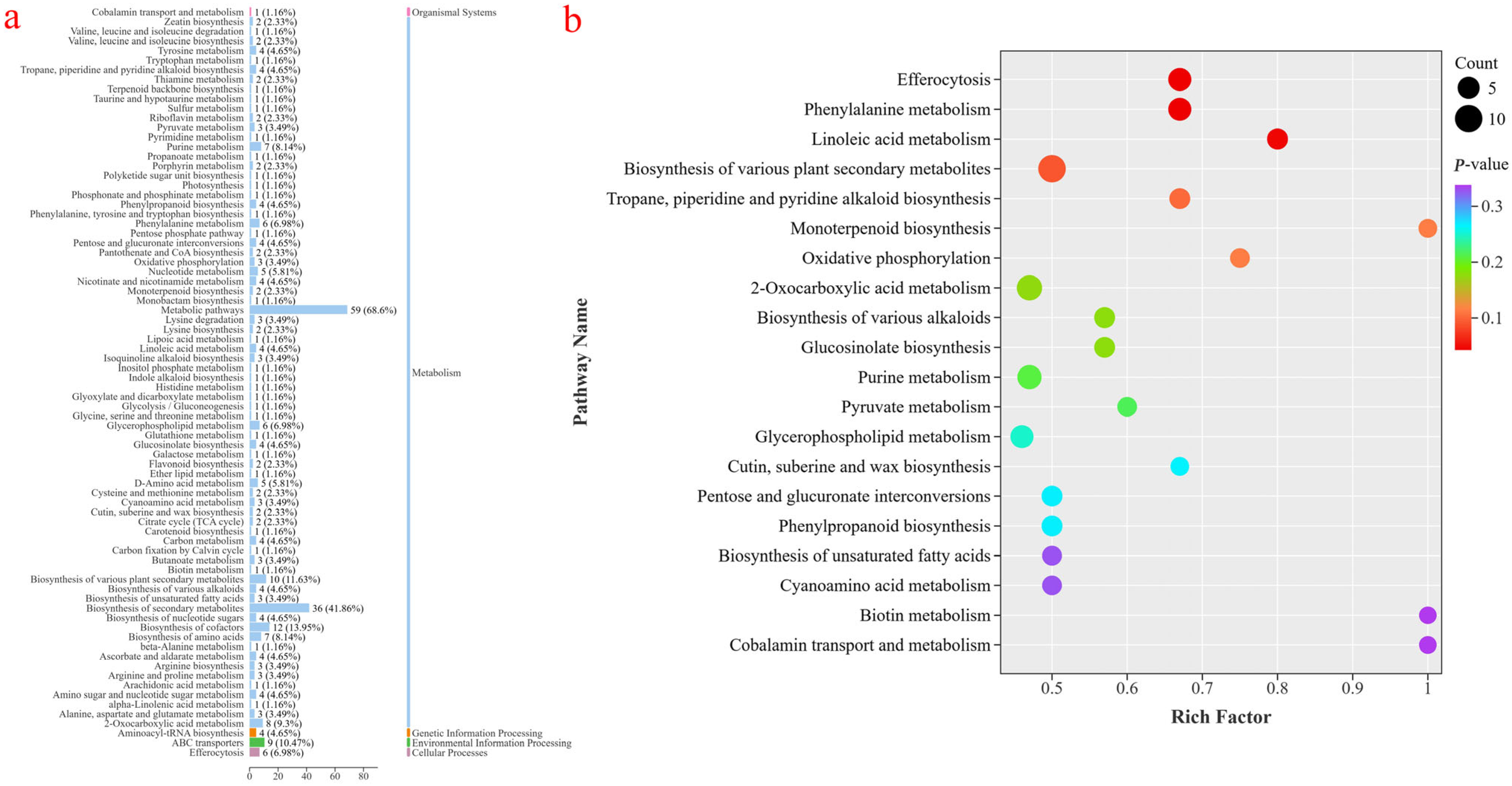 Foods 14 03794 g006 Foods 14 03794 g006