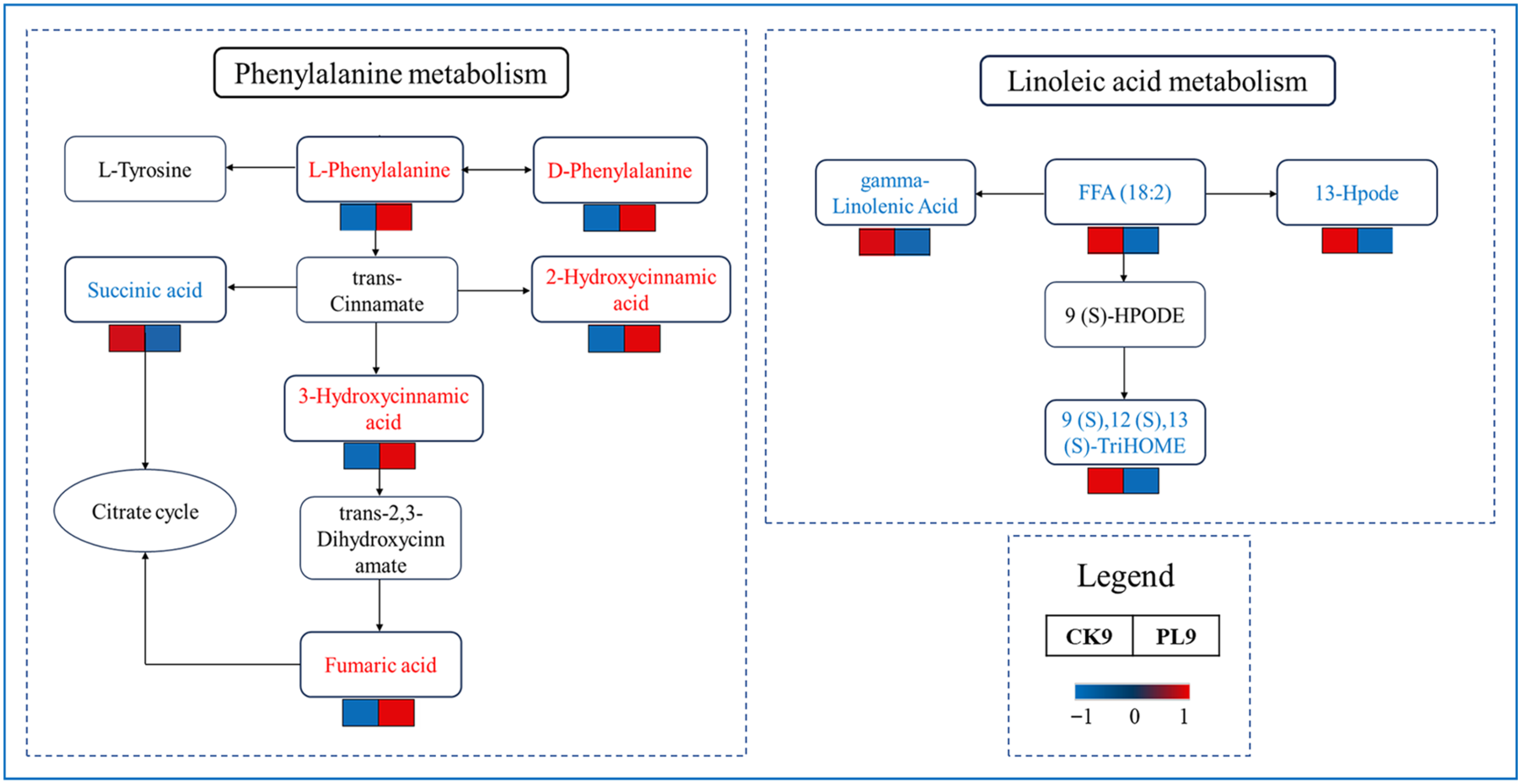Foods 14 03794 g007 Foods 14 03794 g007