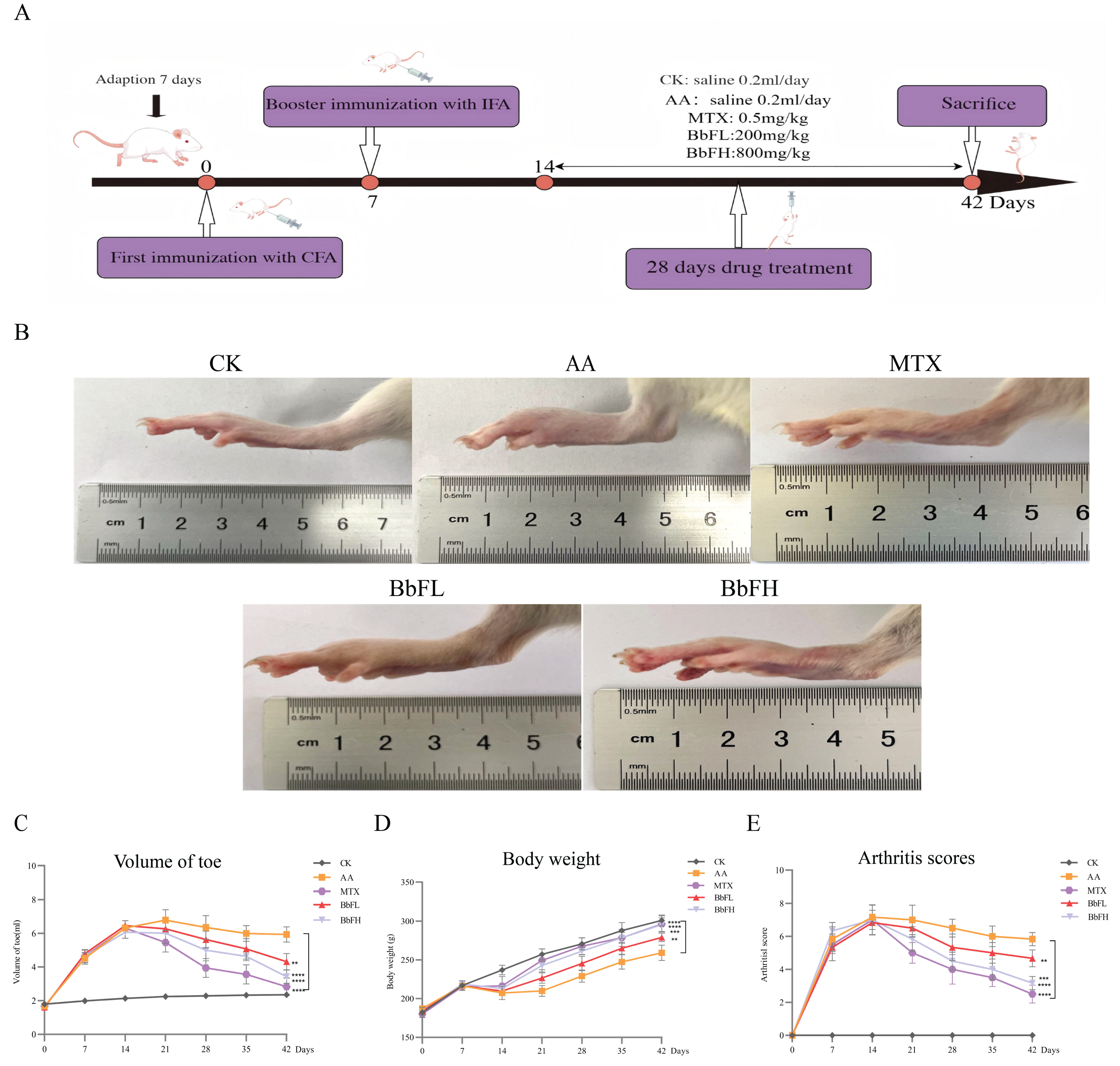 Foods 14 03802 g002 Foods 14 03802 g002