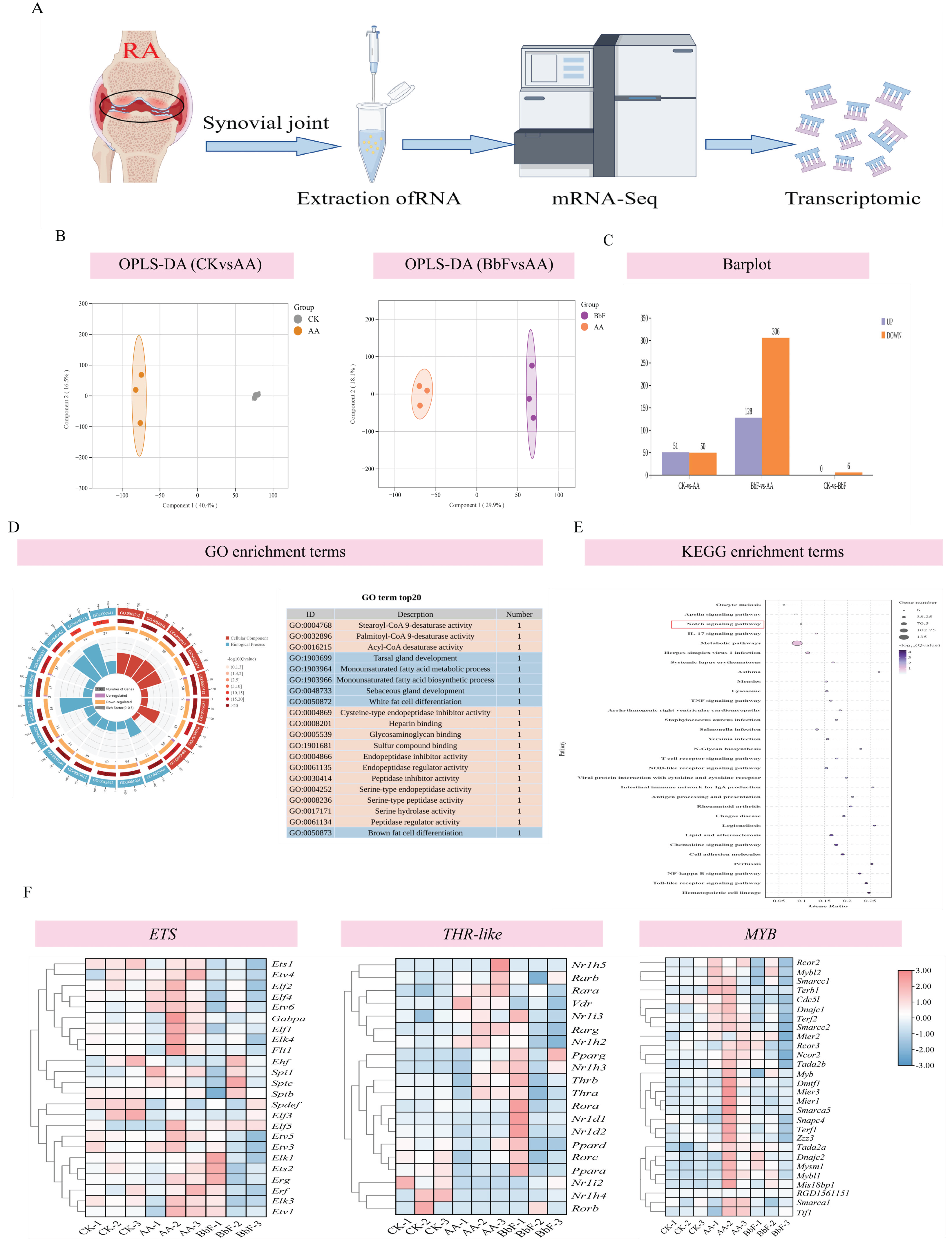 Foods 14 03802 g004 Foods 14 03802 g004