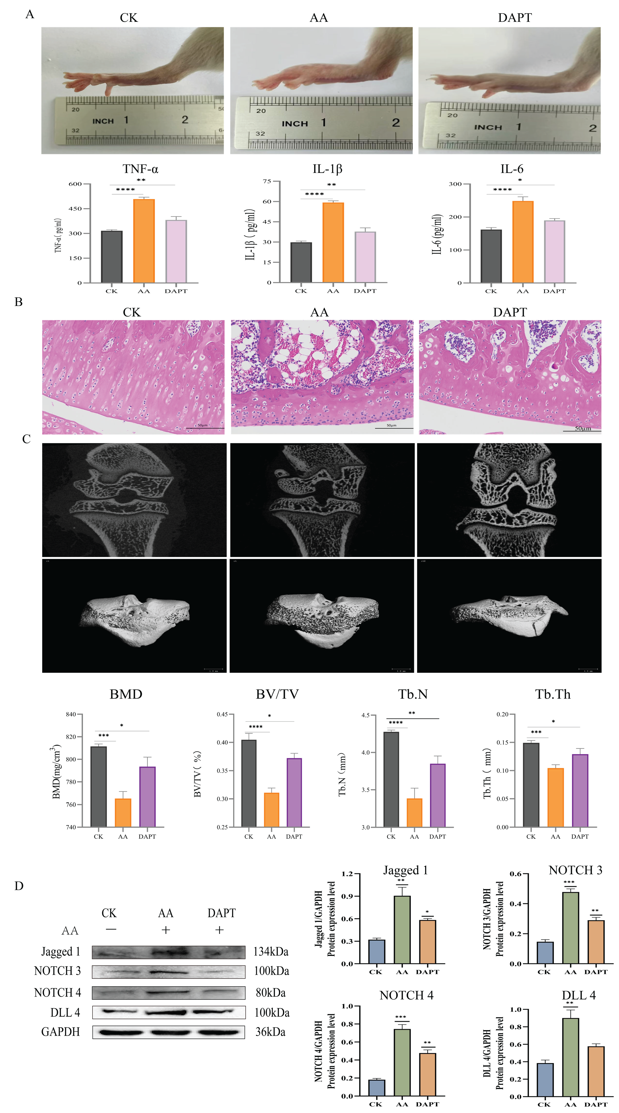 Foods 14 03802 g008 Foods 14 03802 g008