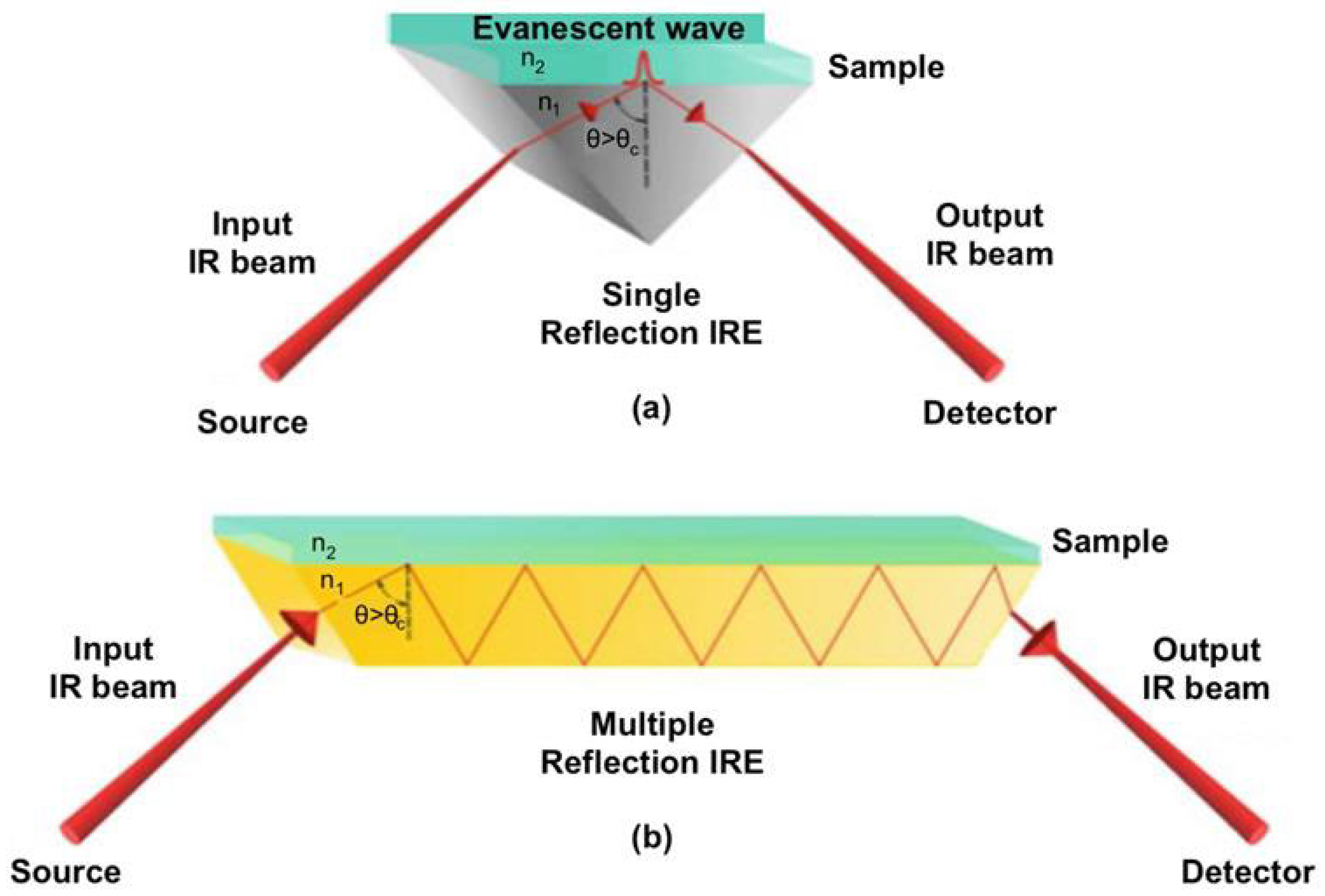 Foods 14 03805 g002 Foods 14 03805 g002