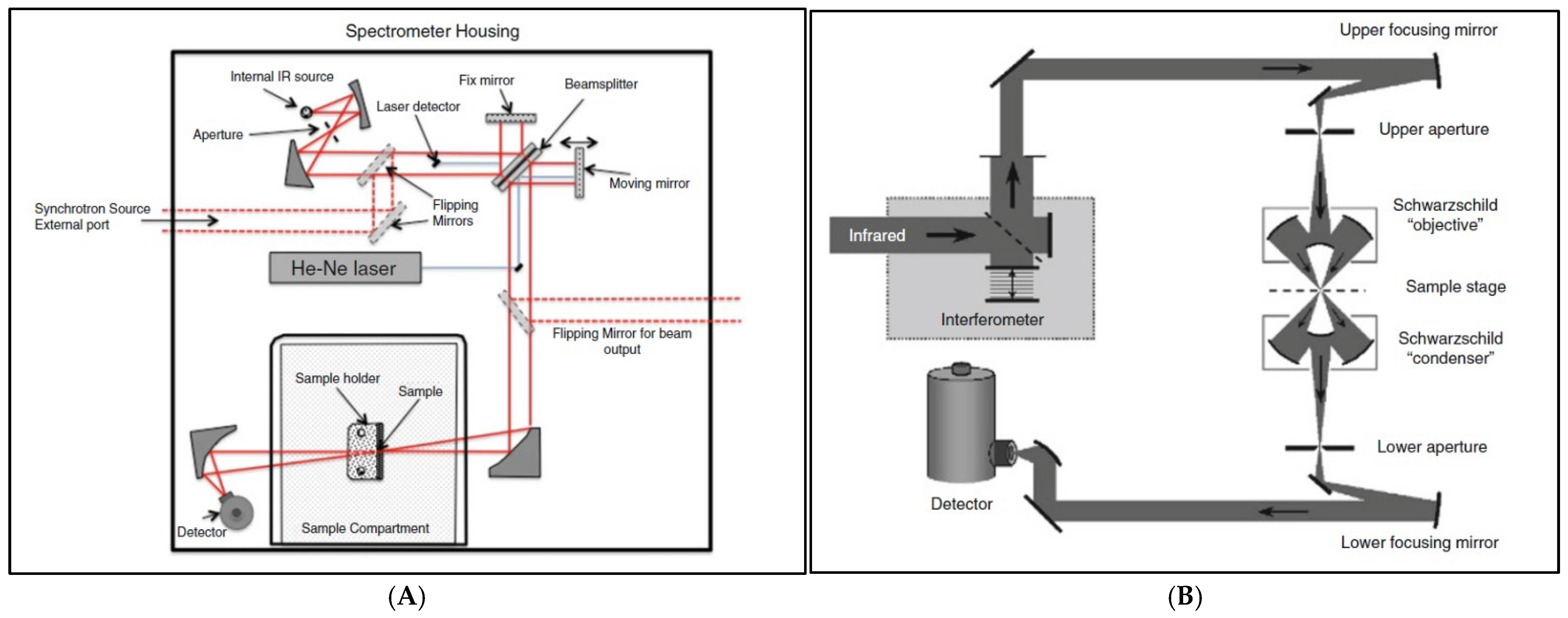 Foods 14 03805 g006 Foods 14 03805 g006