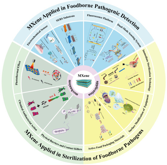 Advances of MXene in Detection and Sterilization of Foodborne