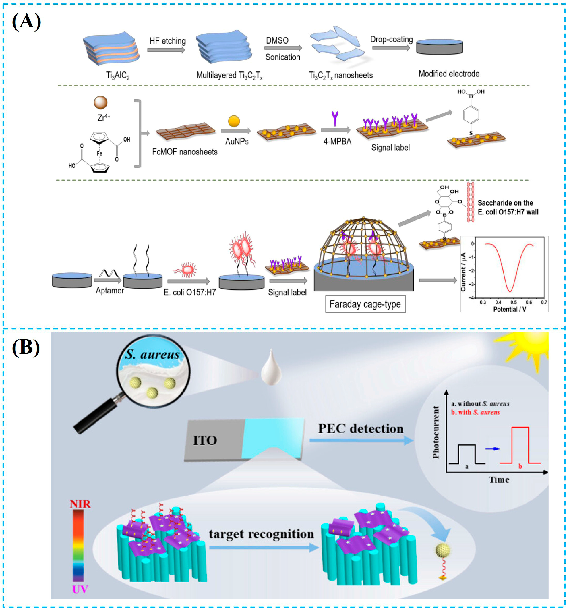 Foods 14 03807 g002 Foods 14 03807 g002