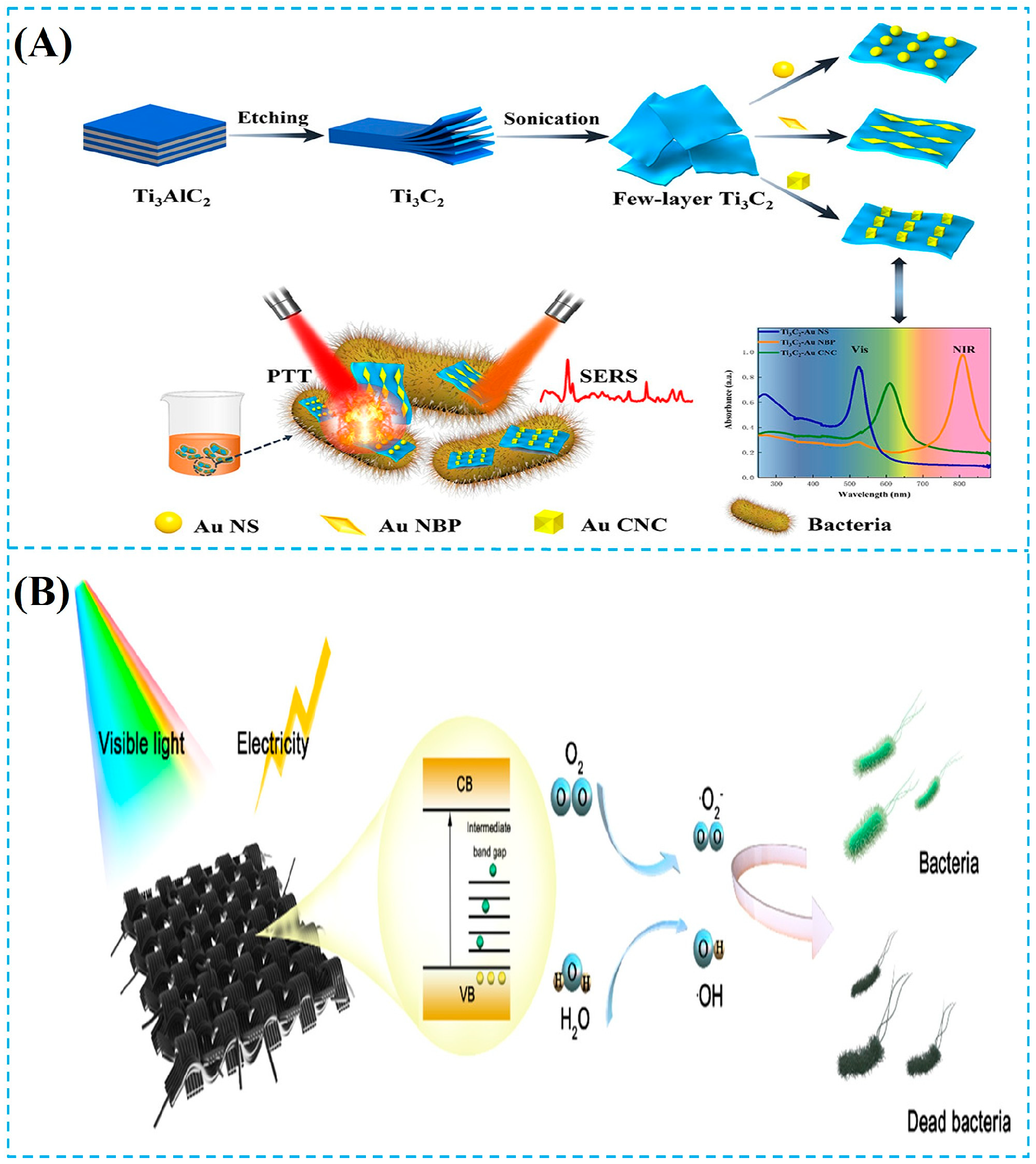 Foods 14 03807 g004 Foods 14 03807 g004