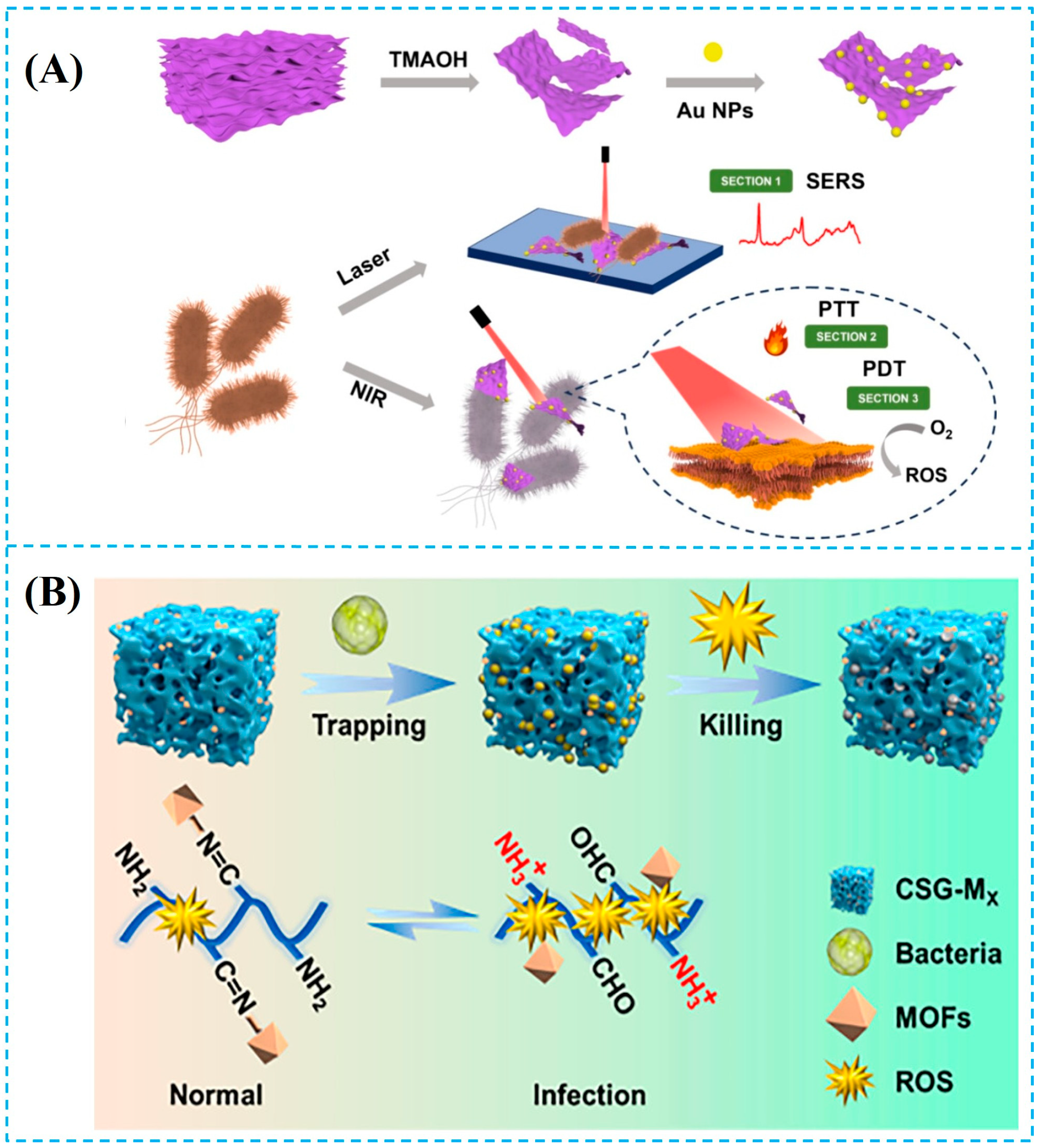 Foods 14 03807 g005 Foods 14 03807 g005