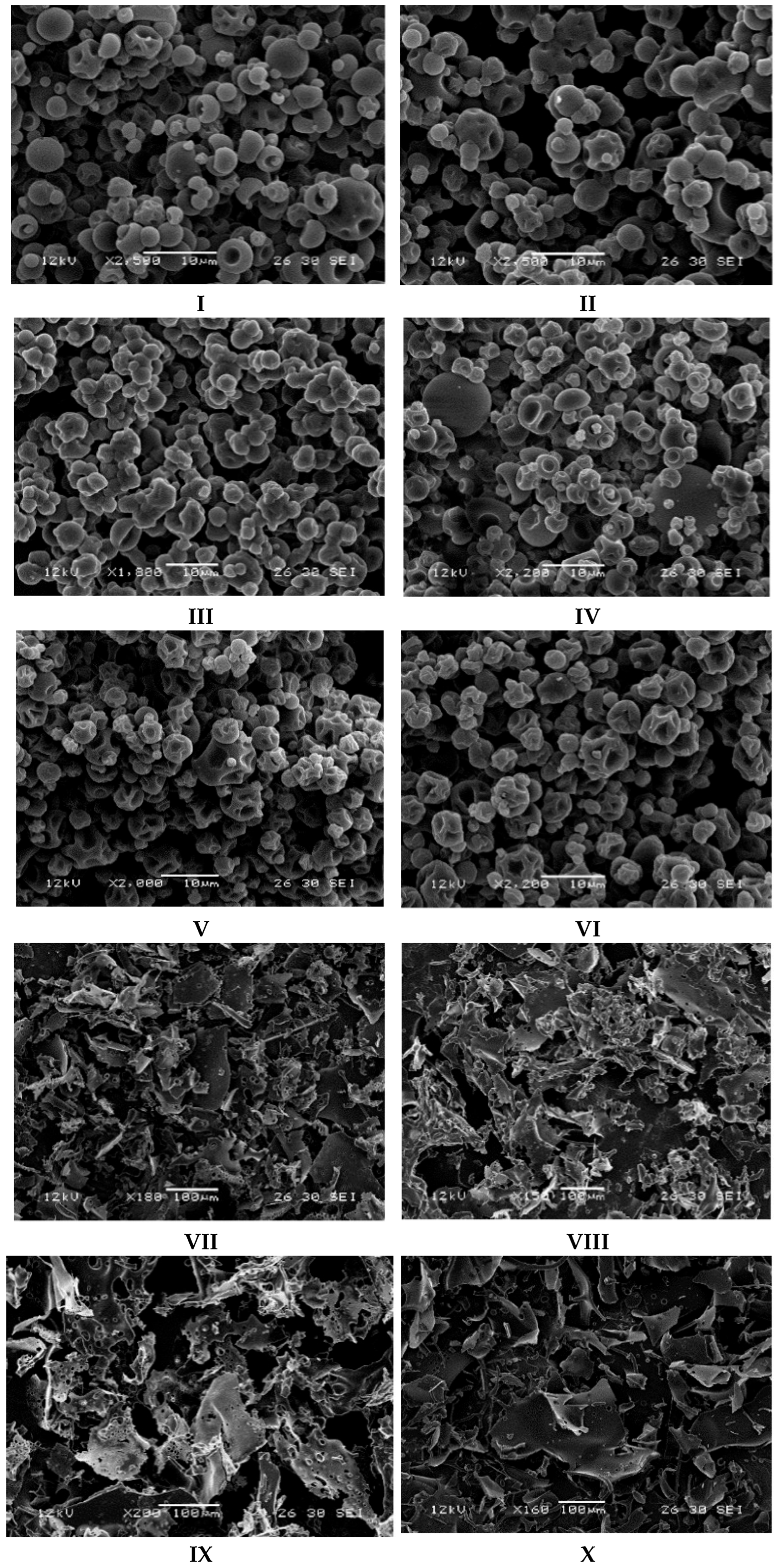 Foods 14 03810 g001a
