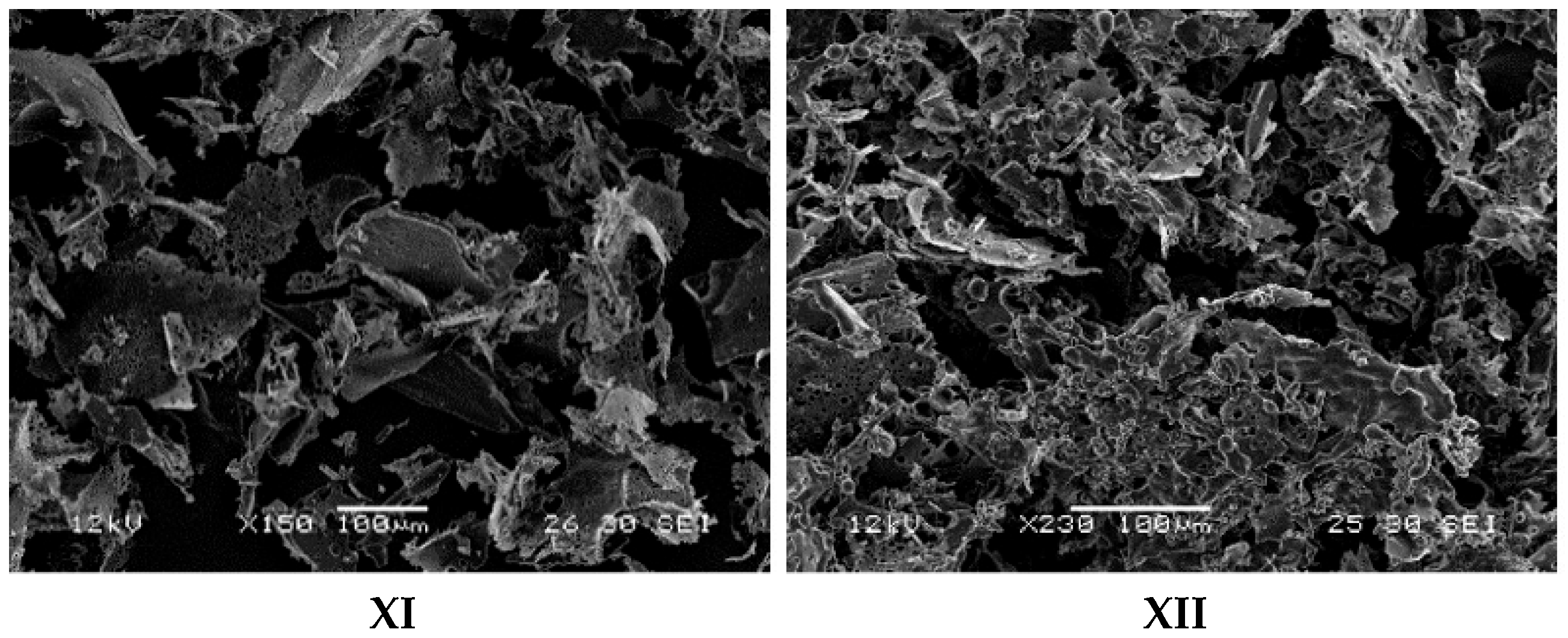 Foods 14 03810 g001b