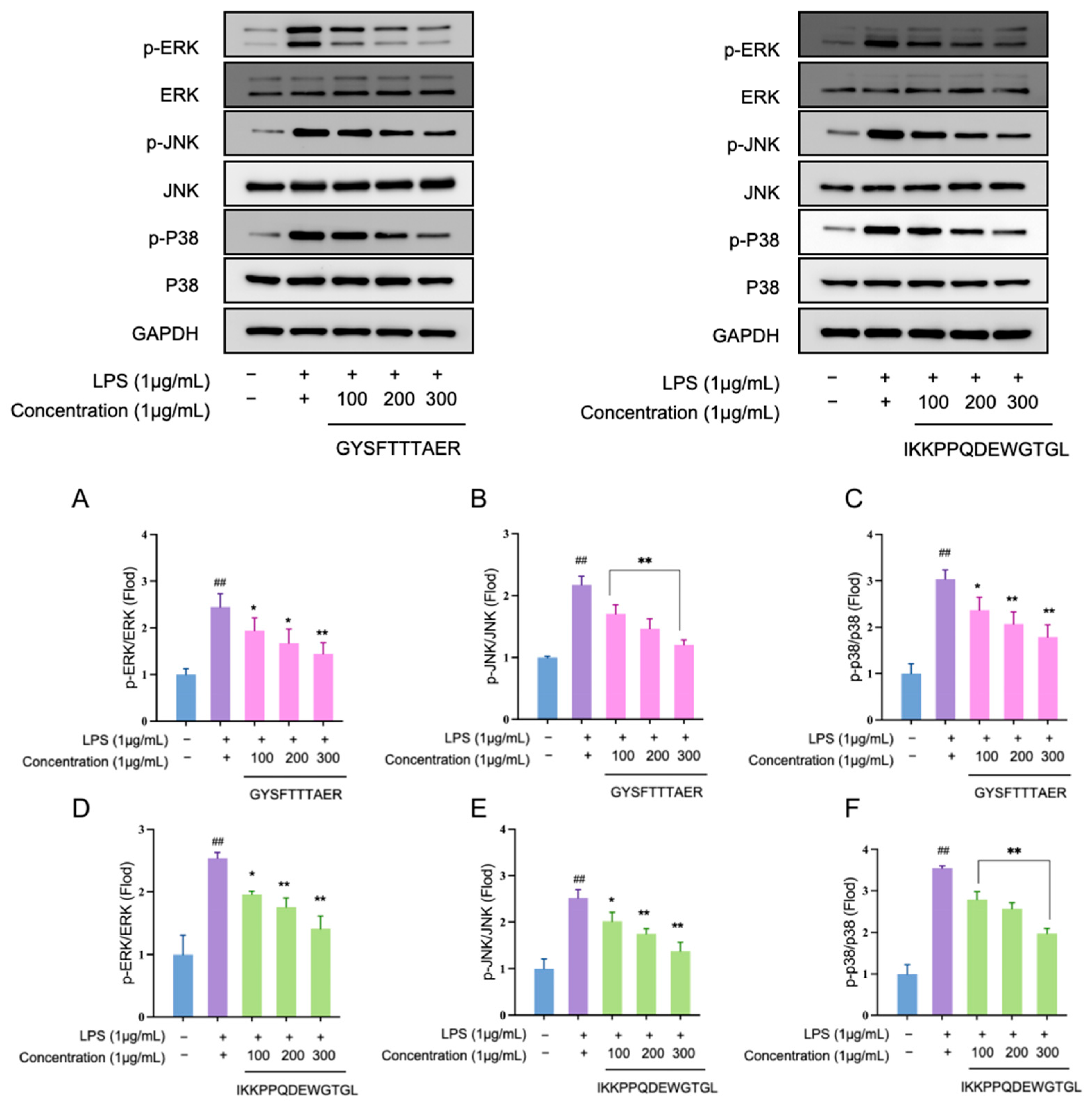 Foods 14 03811 g007 Foods 14 03811 g007