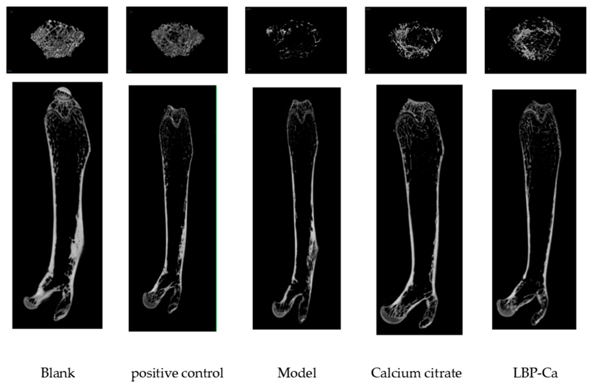 Foods 14 03812 g010 Foods 14 03812 g010