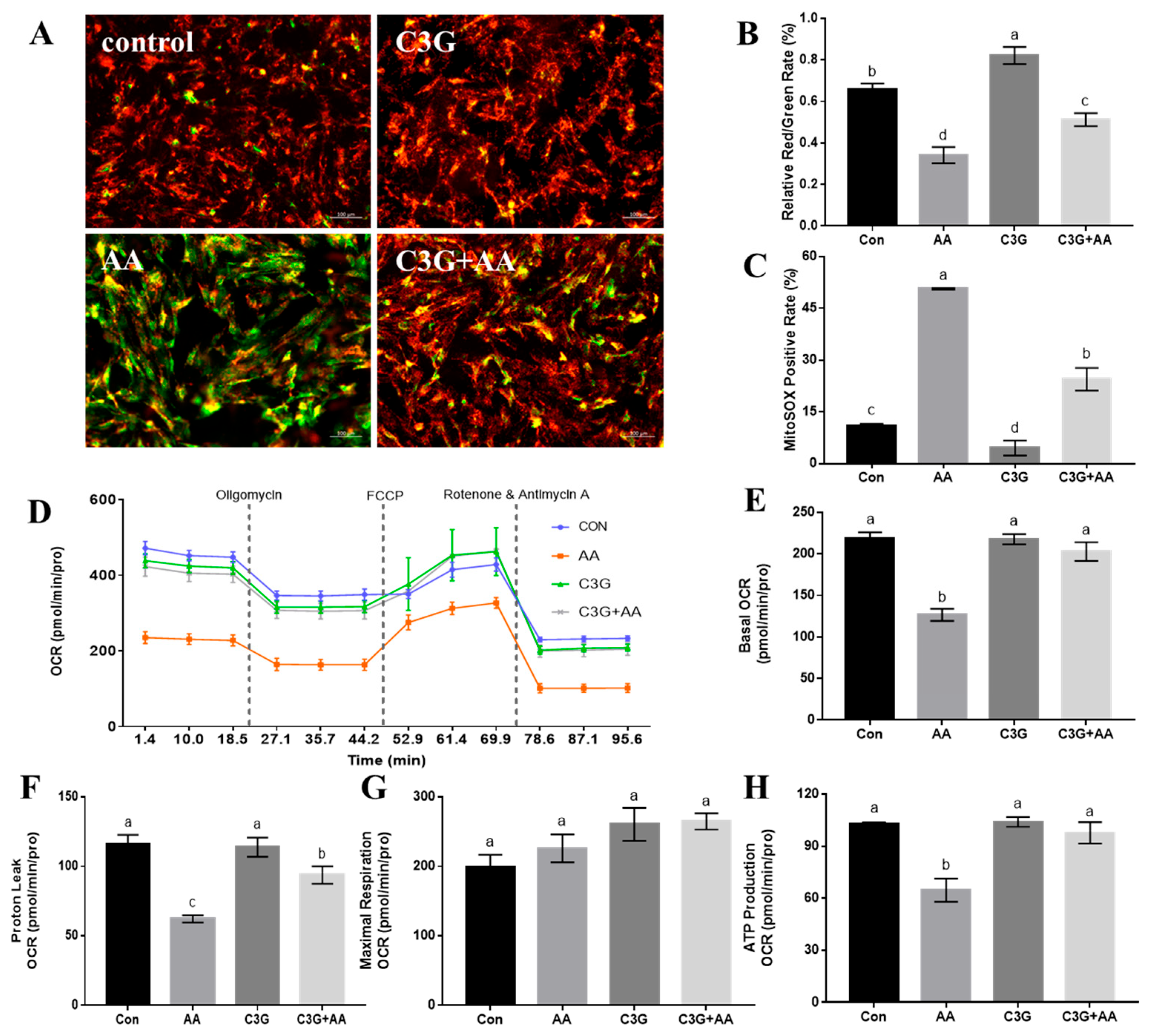 Foods 14 03826 g003 Foods 14 03826 g003