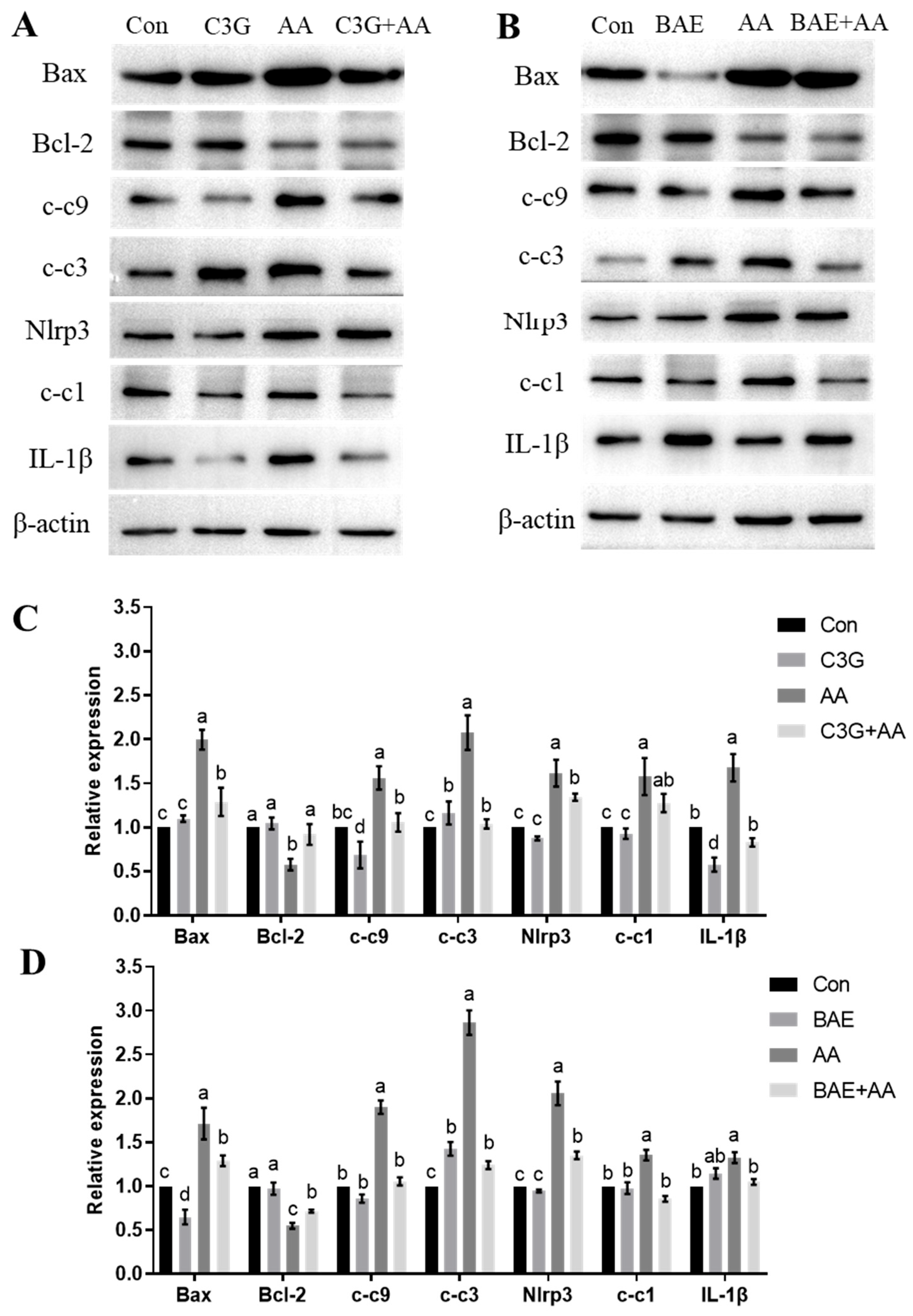 Foods 14 03826 g005 Foods 14 03826 g005