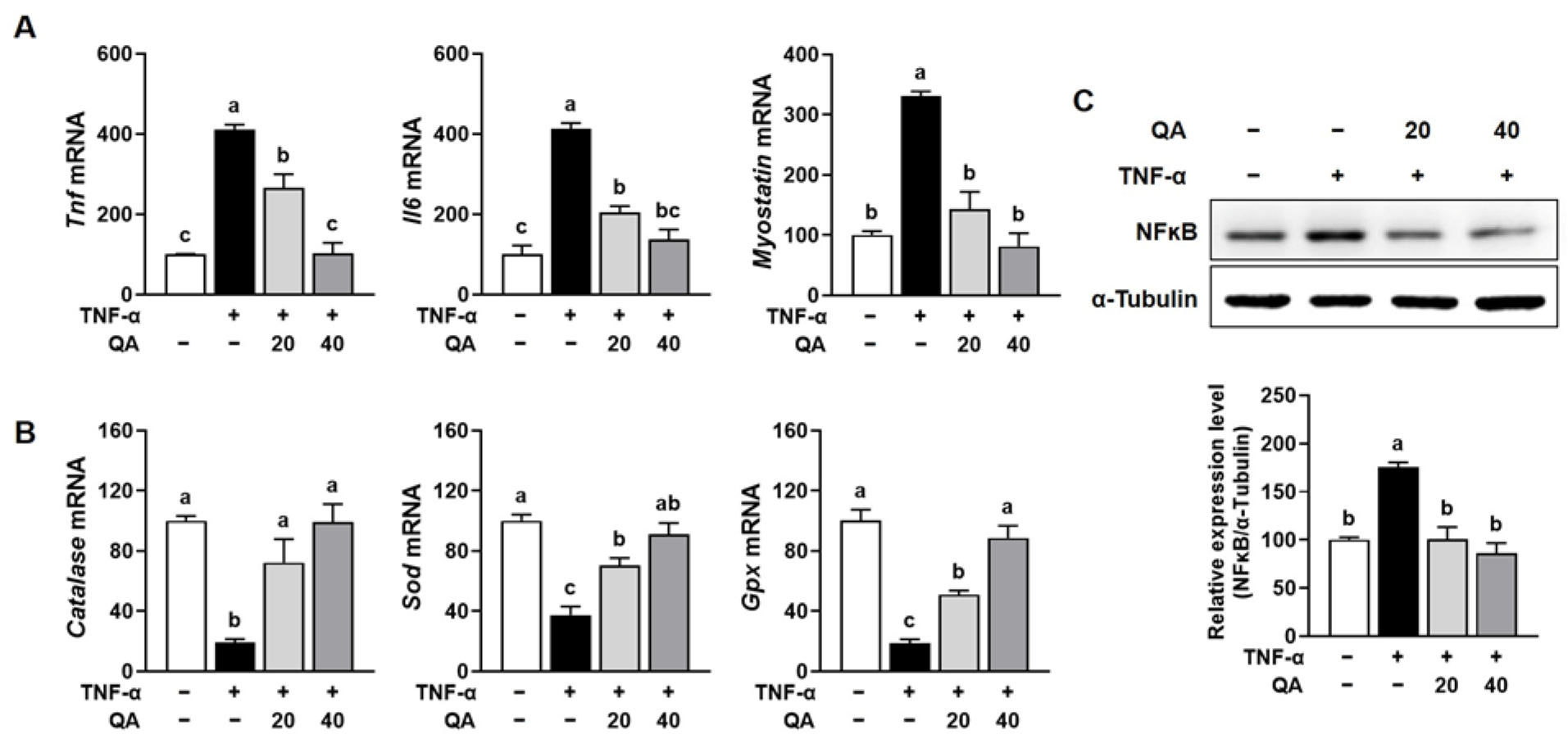 Foods 14 03833 g004 Foods 14 03833 g004