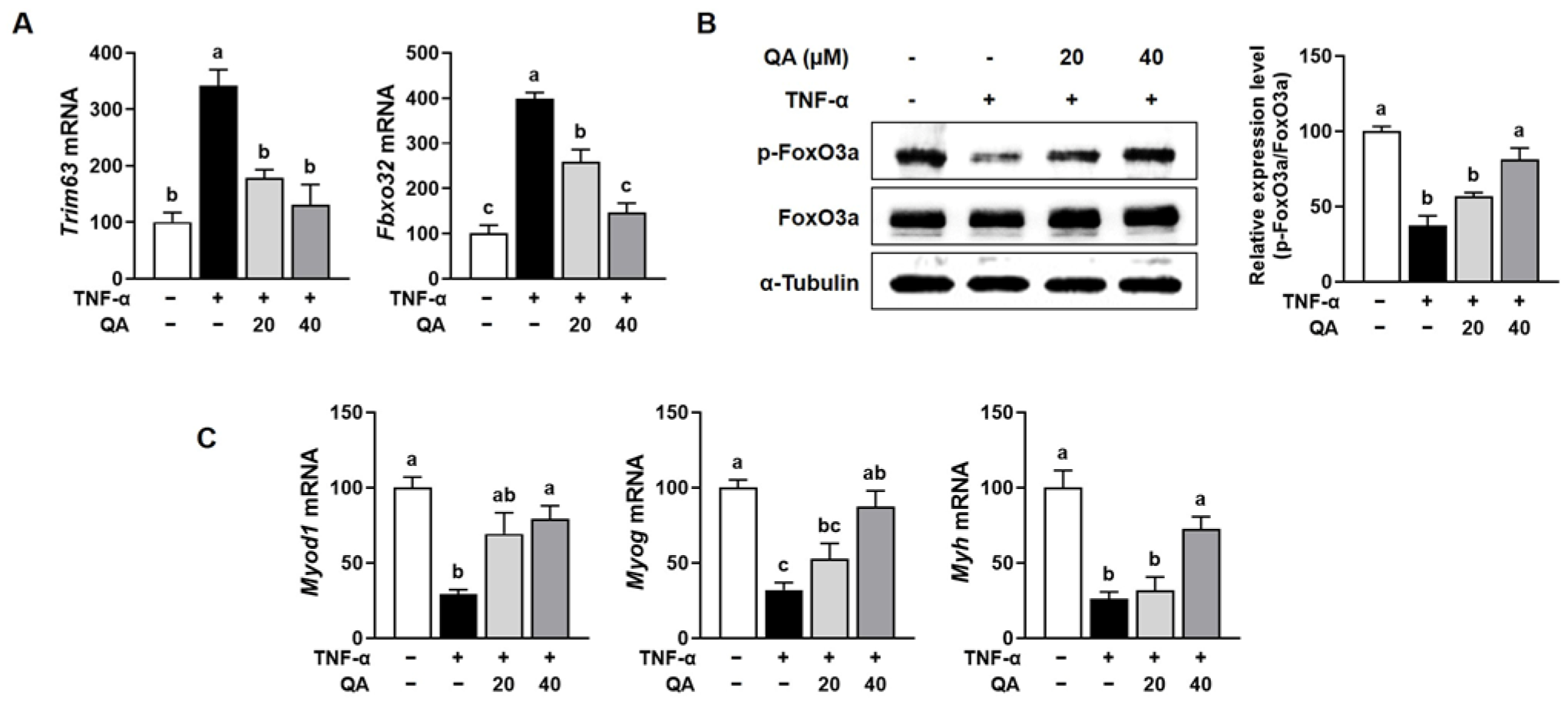 Foods 14 03833 g005 Foods 14 03833 g005