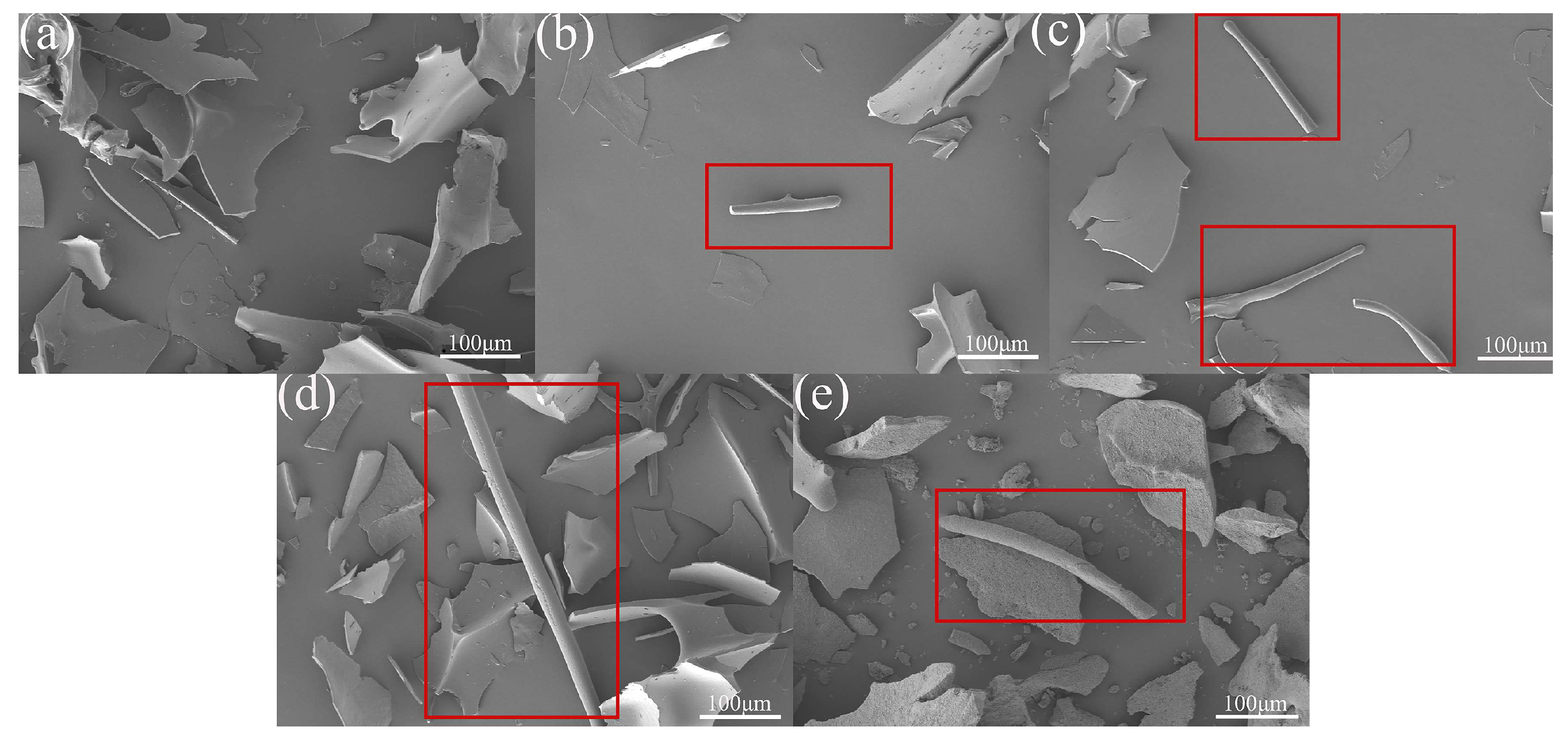 Foods 14 03835 g002 Foods 14 03835 g002