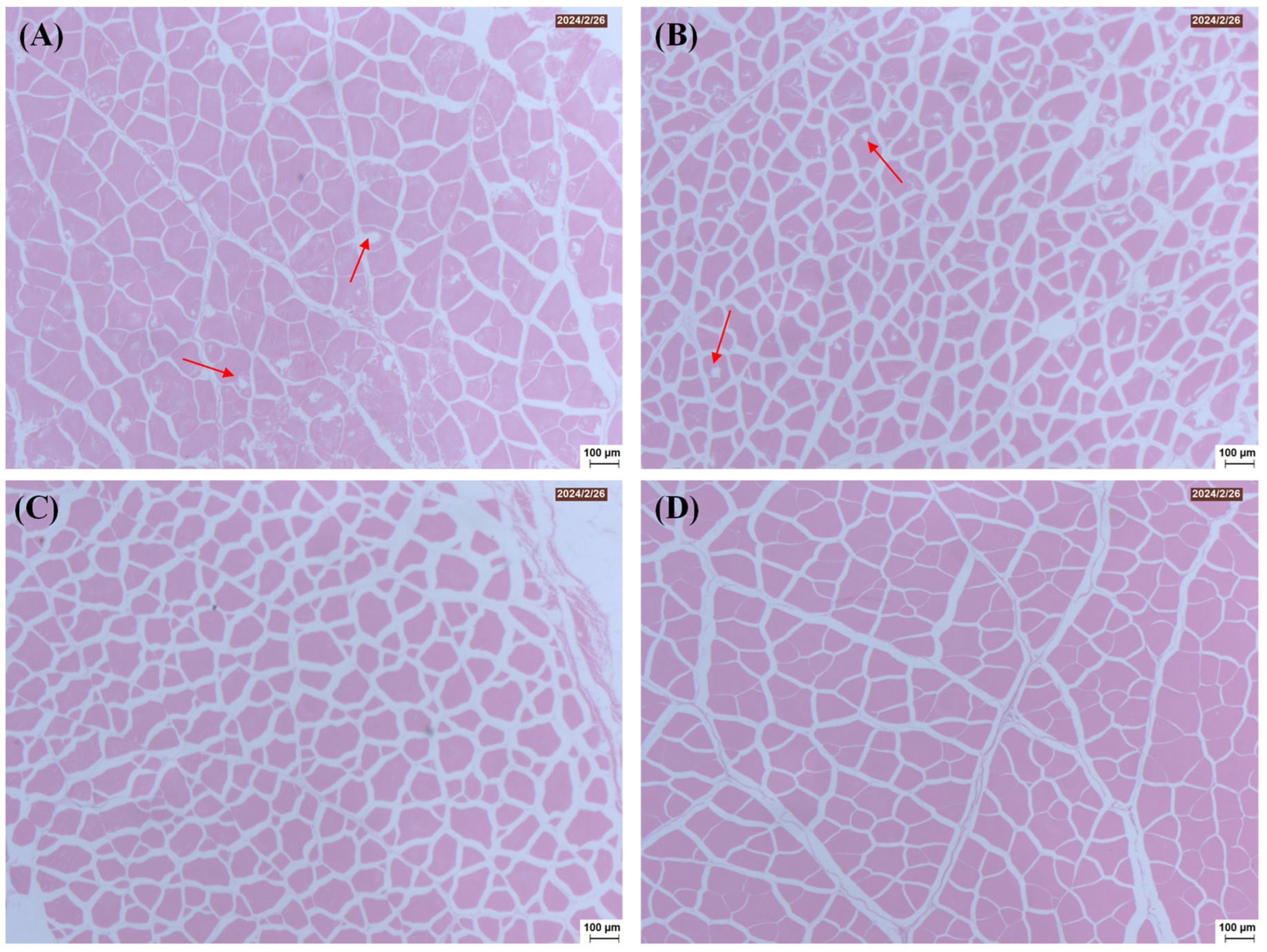 Foods 14 03845 g005 Foods 14 03845 g005