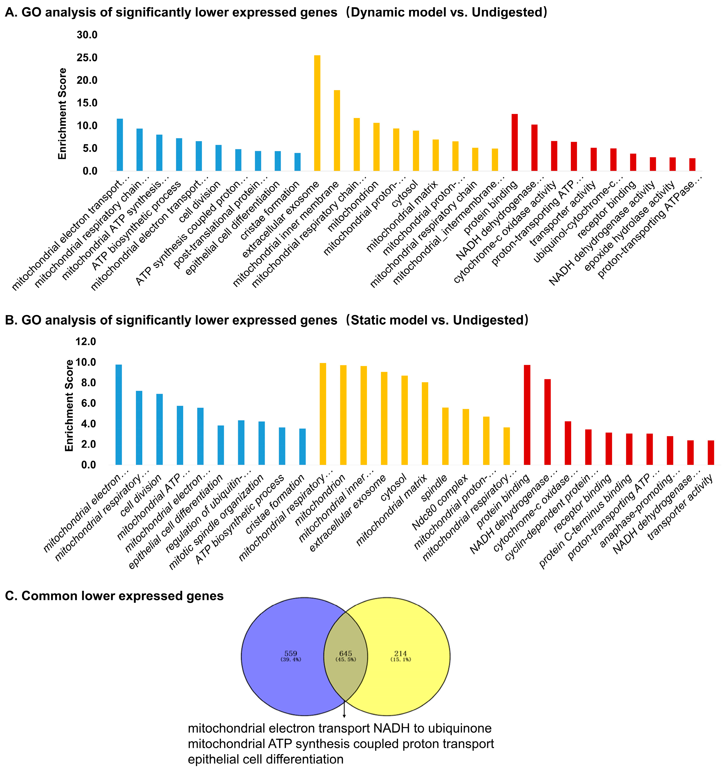Foods 14 03864 g006 Foods 14 03864 g006