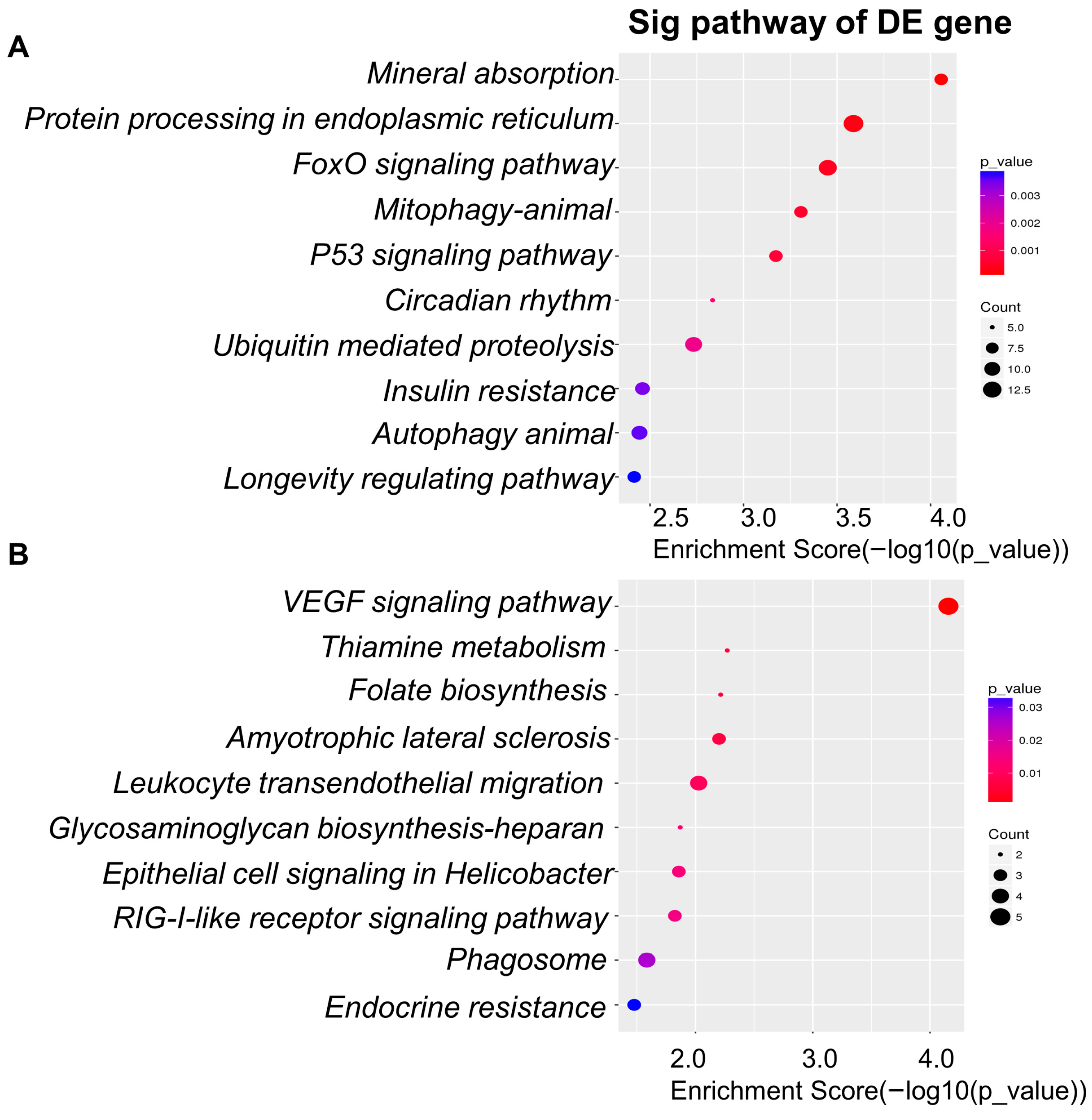 Foods 14 03864 g007 Foods 14 03864 g007
