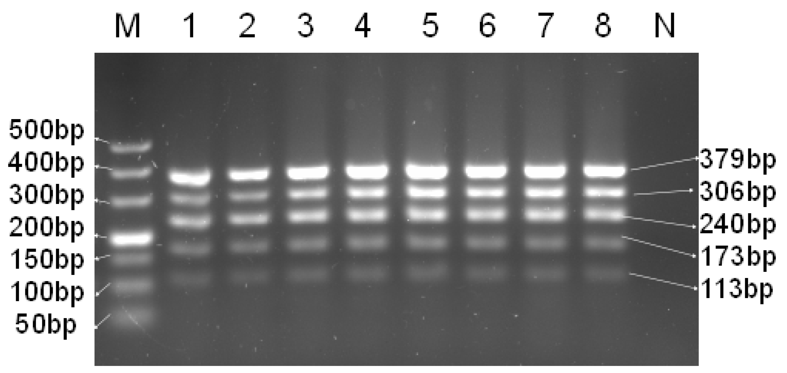 Foods 14 03875 g001 Foods 14 03875 g001