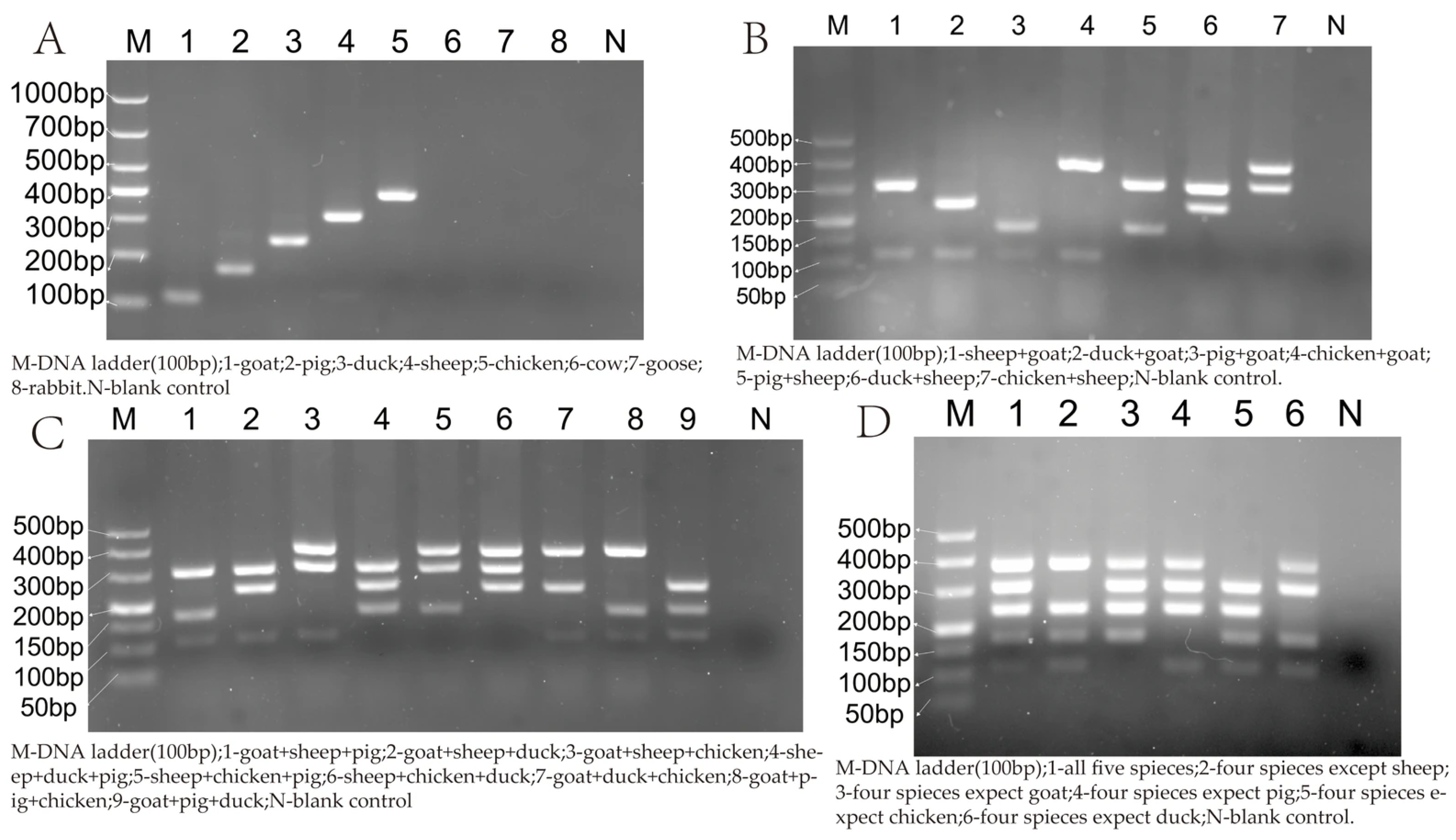 Foods 14 03875 g002 Foods 14 03875 g002