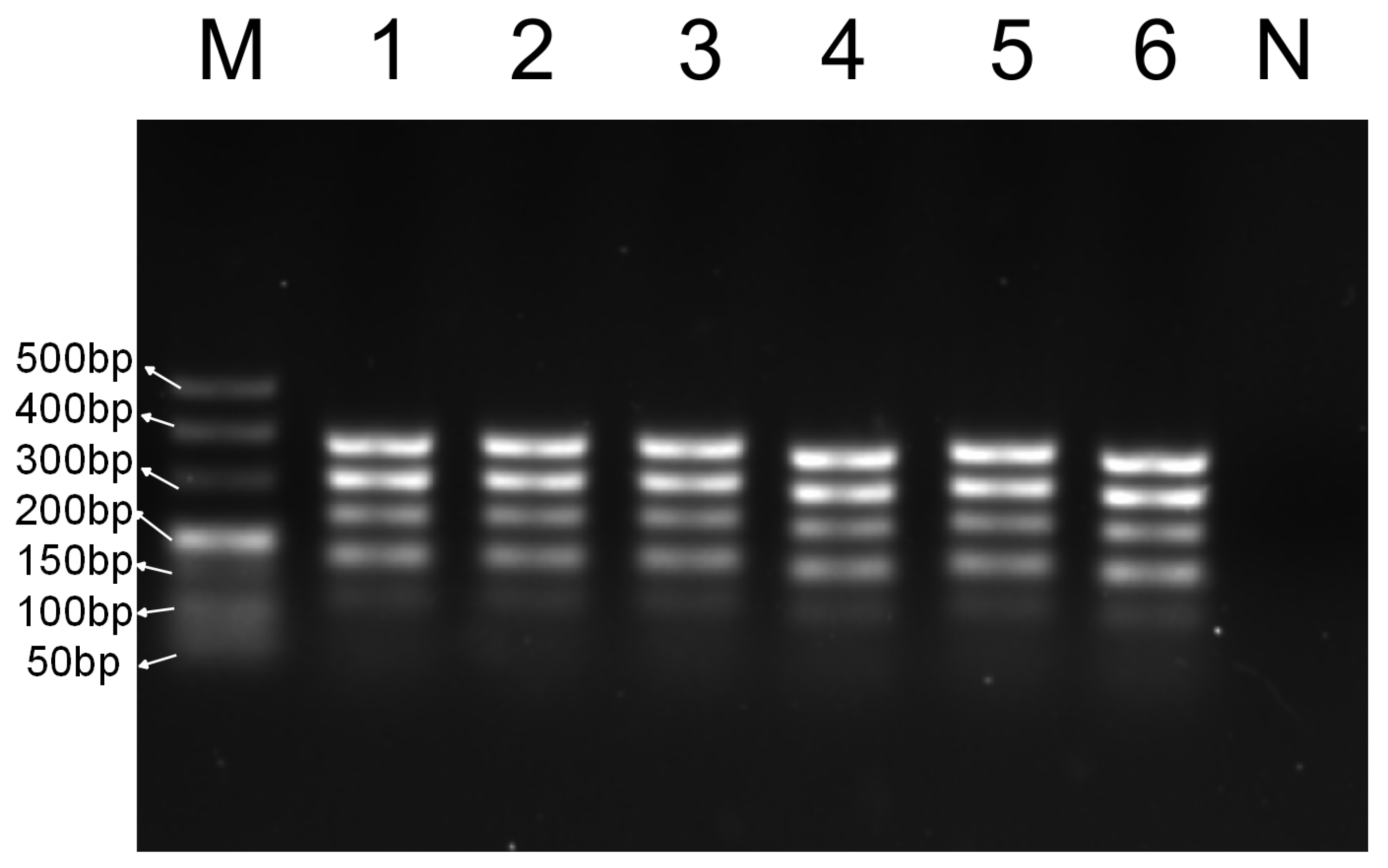 Foods 14 03875 g003 Foods 14 03875 g003
